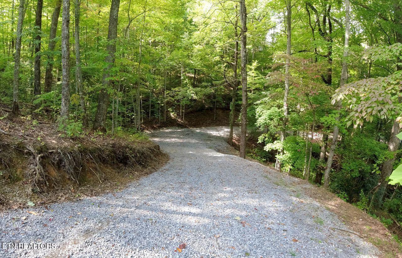 Oakley Heights Road Gatlinburg TN 37738