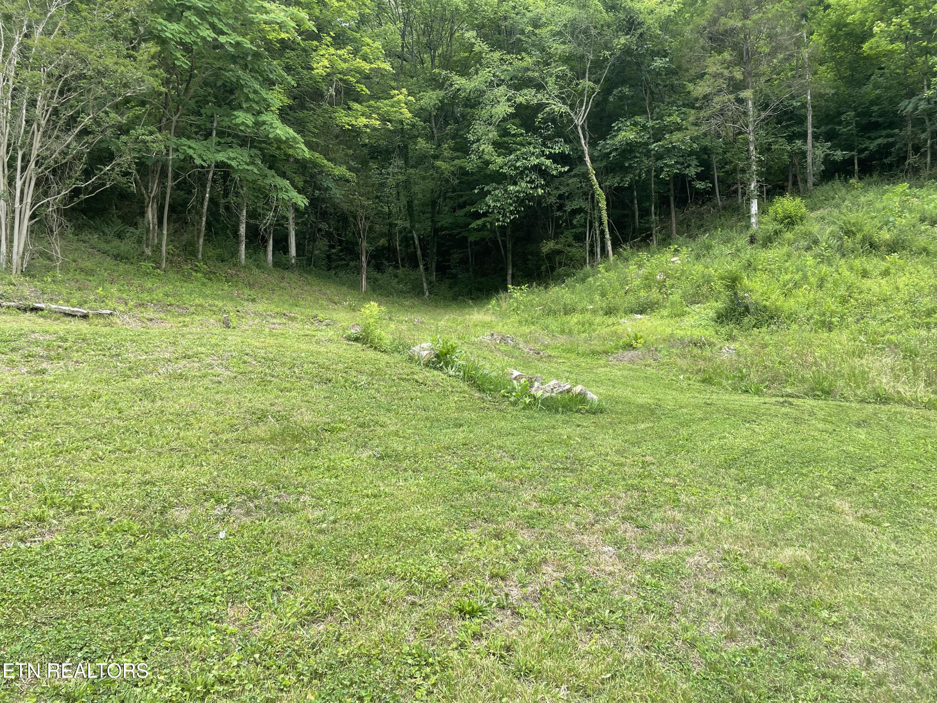 3901 Greenway Drive Knoxville TN 37918