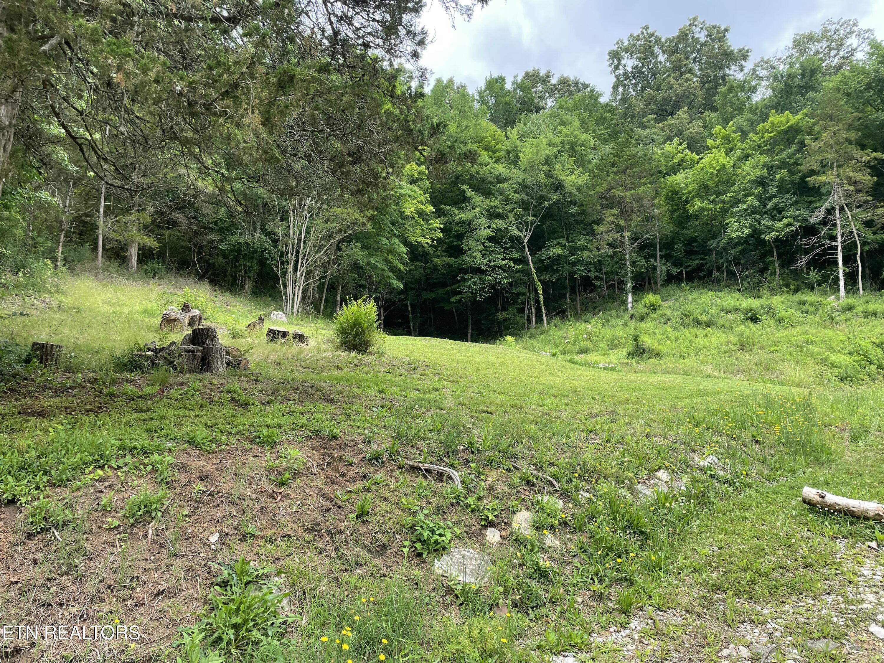 3901 Greenway Drive Knoxville TN 37918