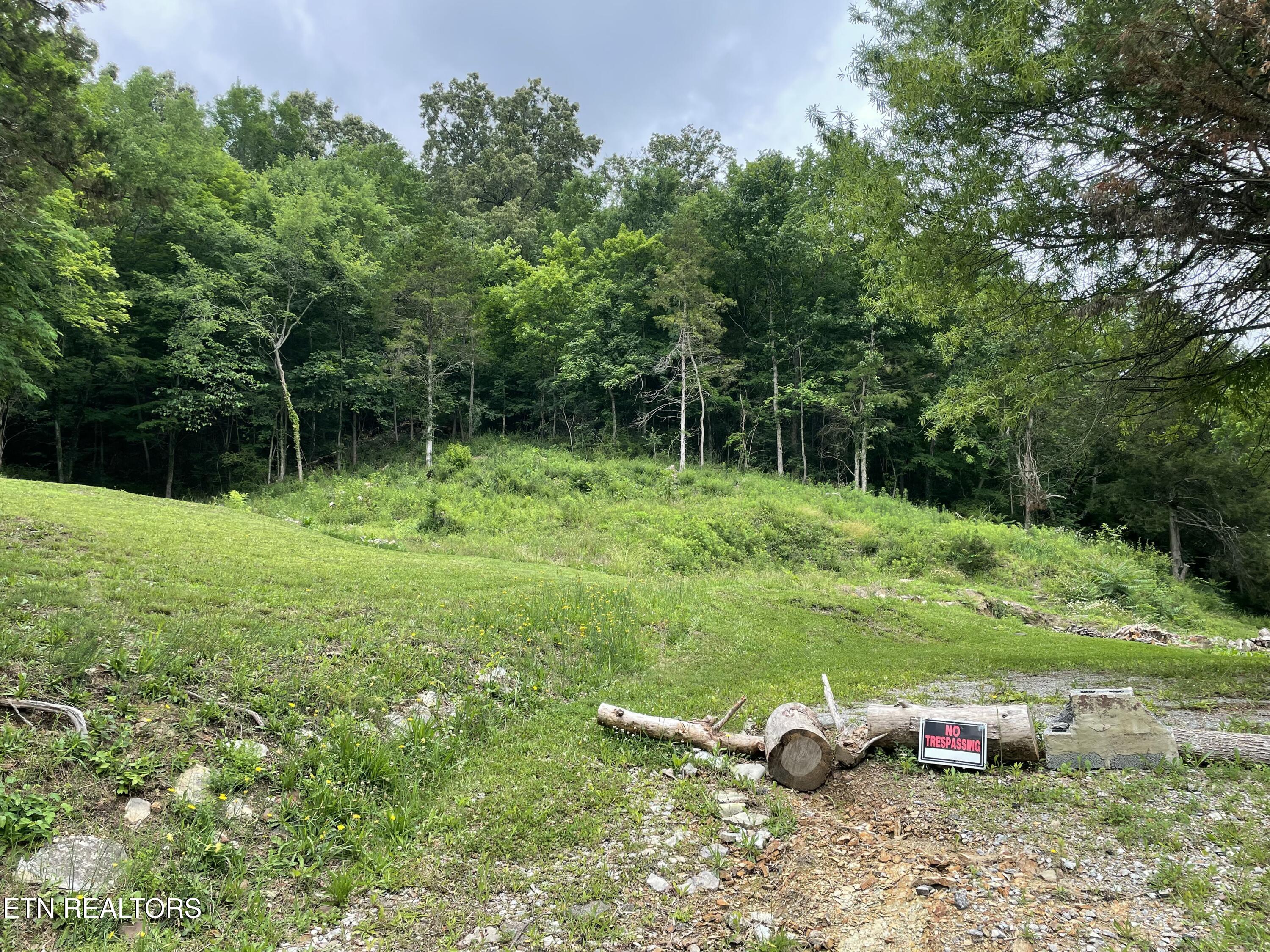 3901 Greenway Drive Knoxville TN 37918