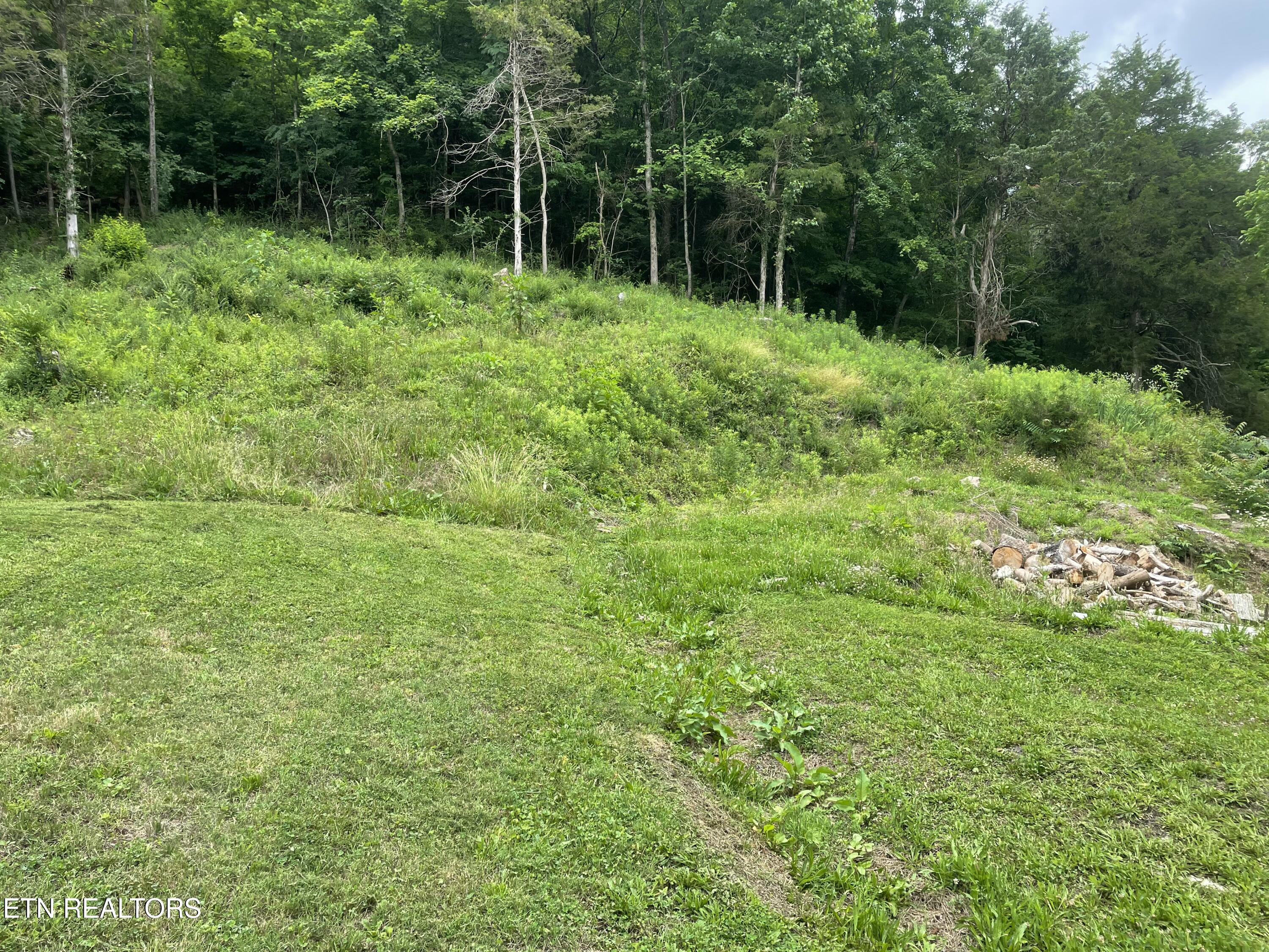 3901 Greenway Drive Knoxville TN 37918