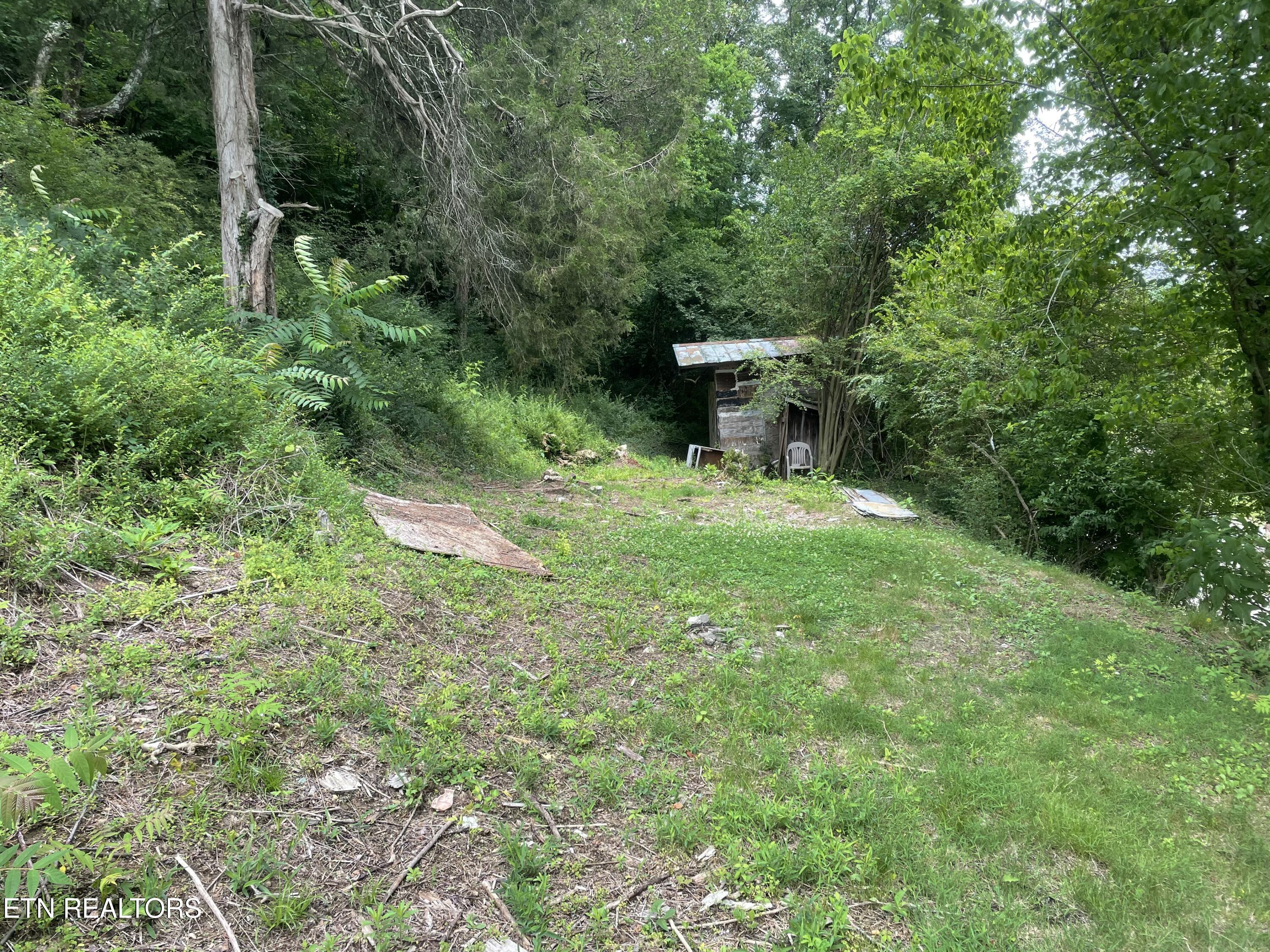 3901 Greenway Drive Knoxville TN 37918
