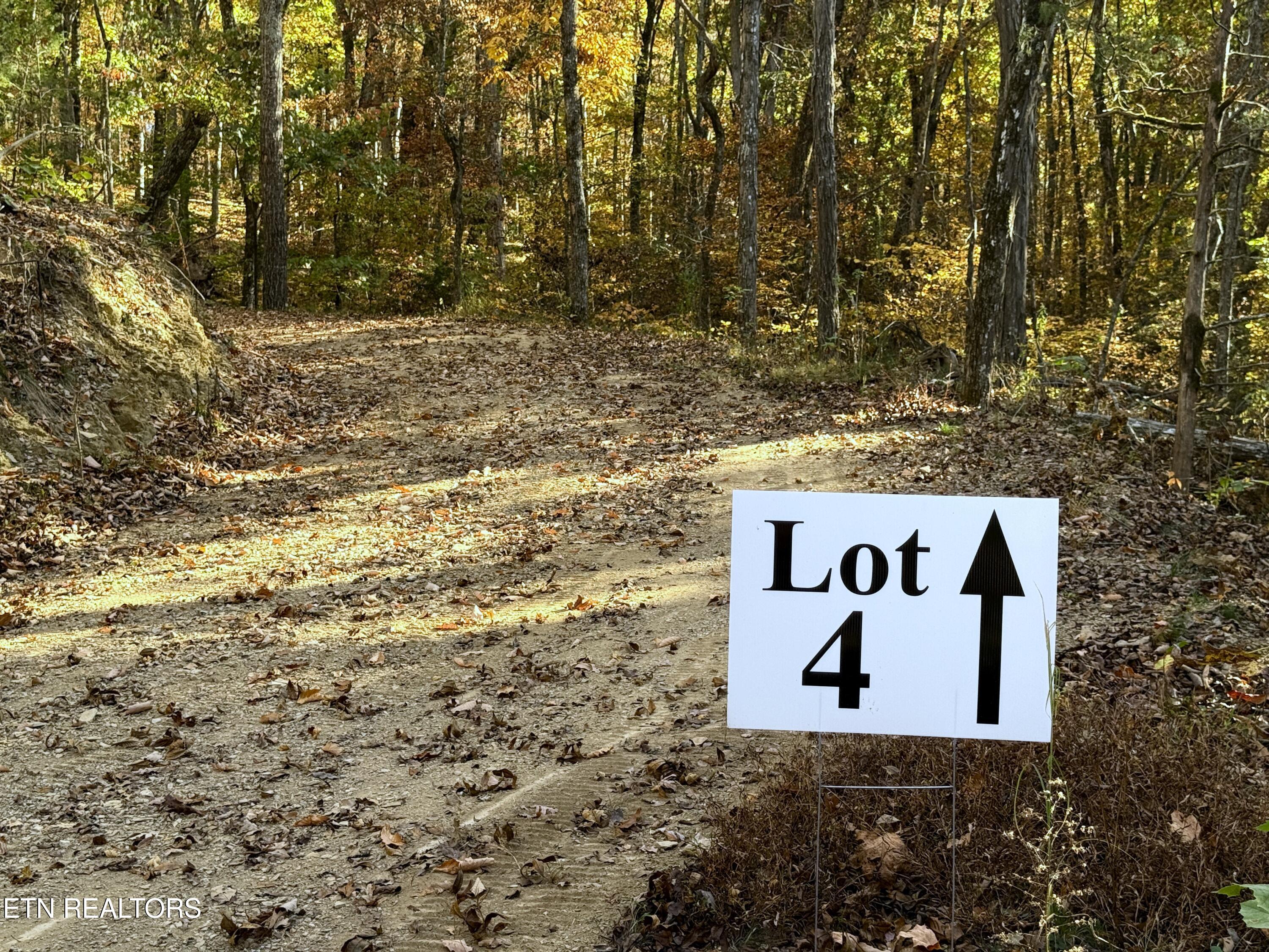 Tract 4 Topaz Way Parrottsville TN 37843