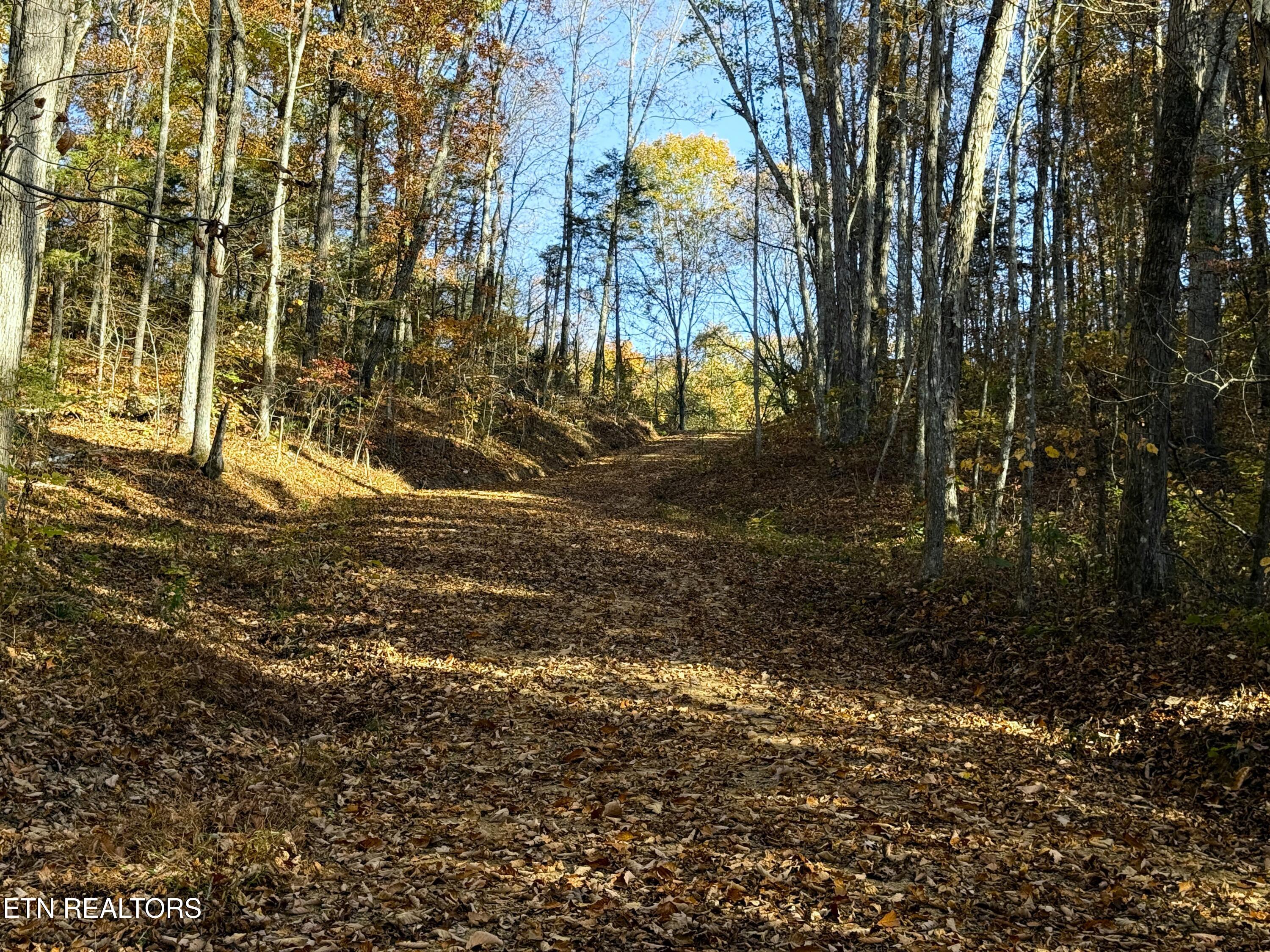 Tract 4 Topaz Way Parrottsville TN 37843