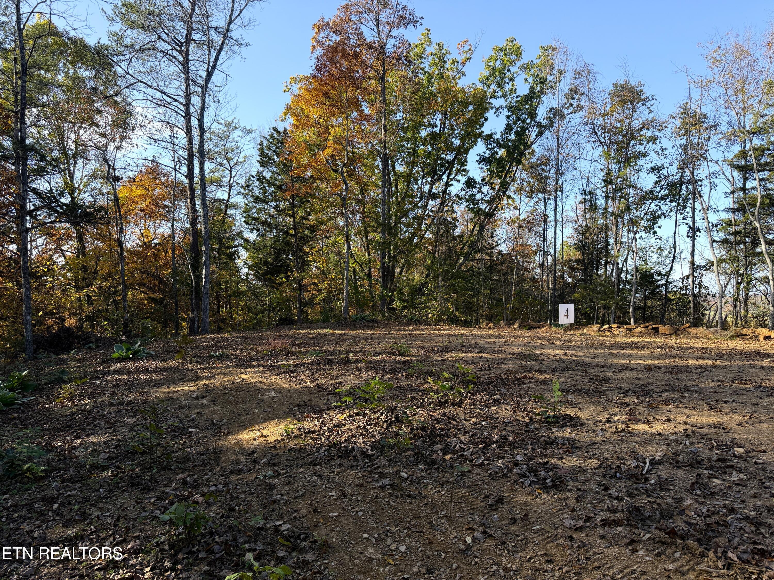 Tract 4 Topaz Way Parrottsville TN 37843
