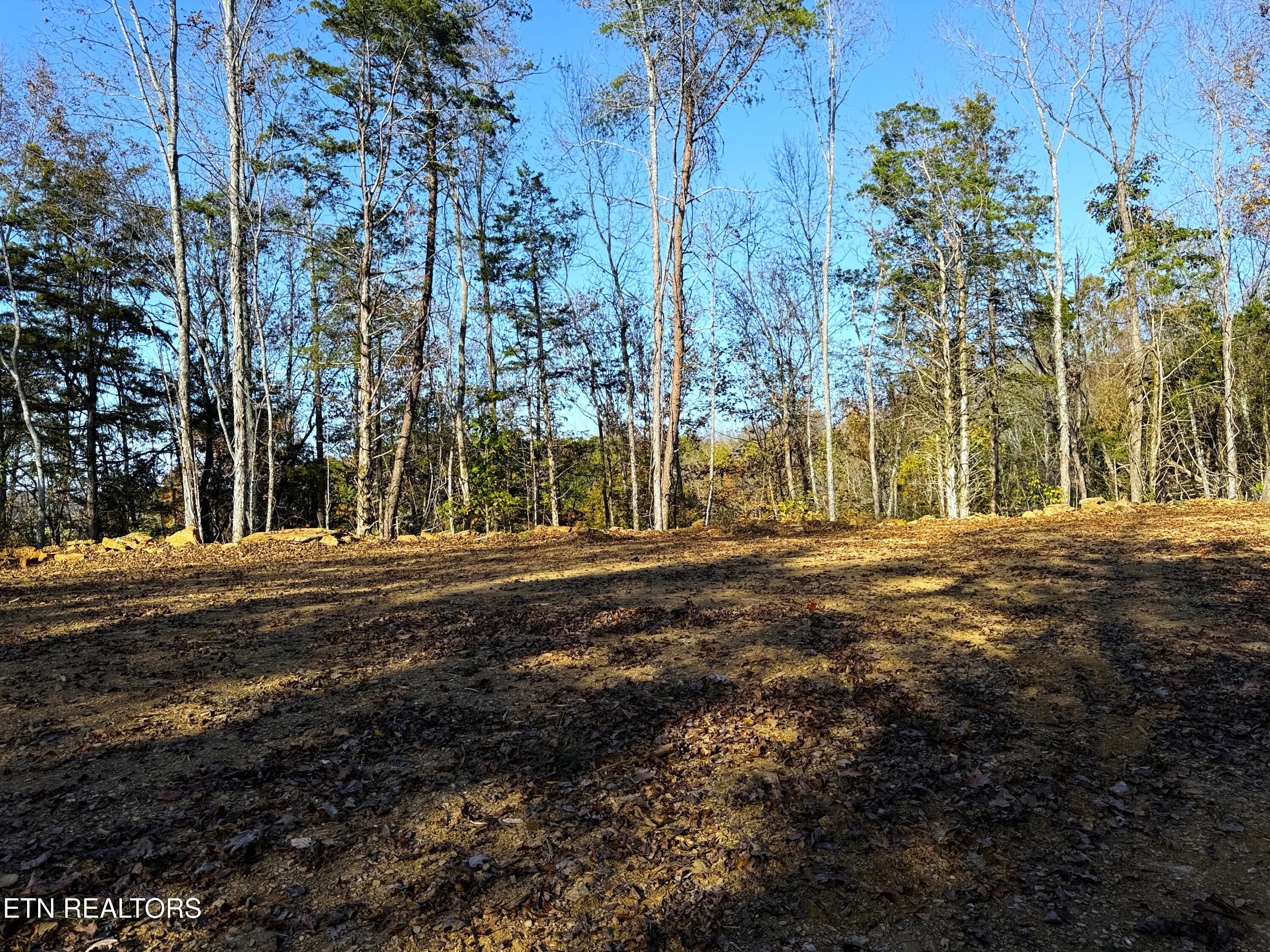 Tract 4 Topaz Way Parrottsville TN 37843