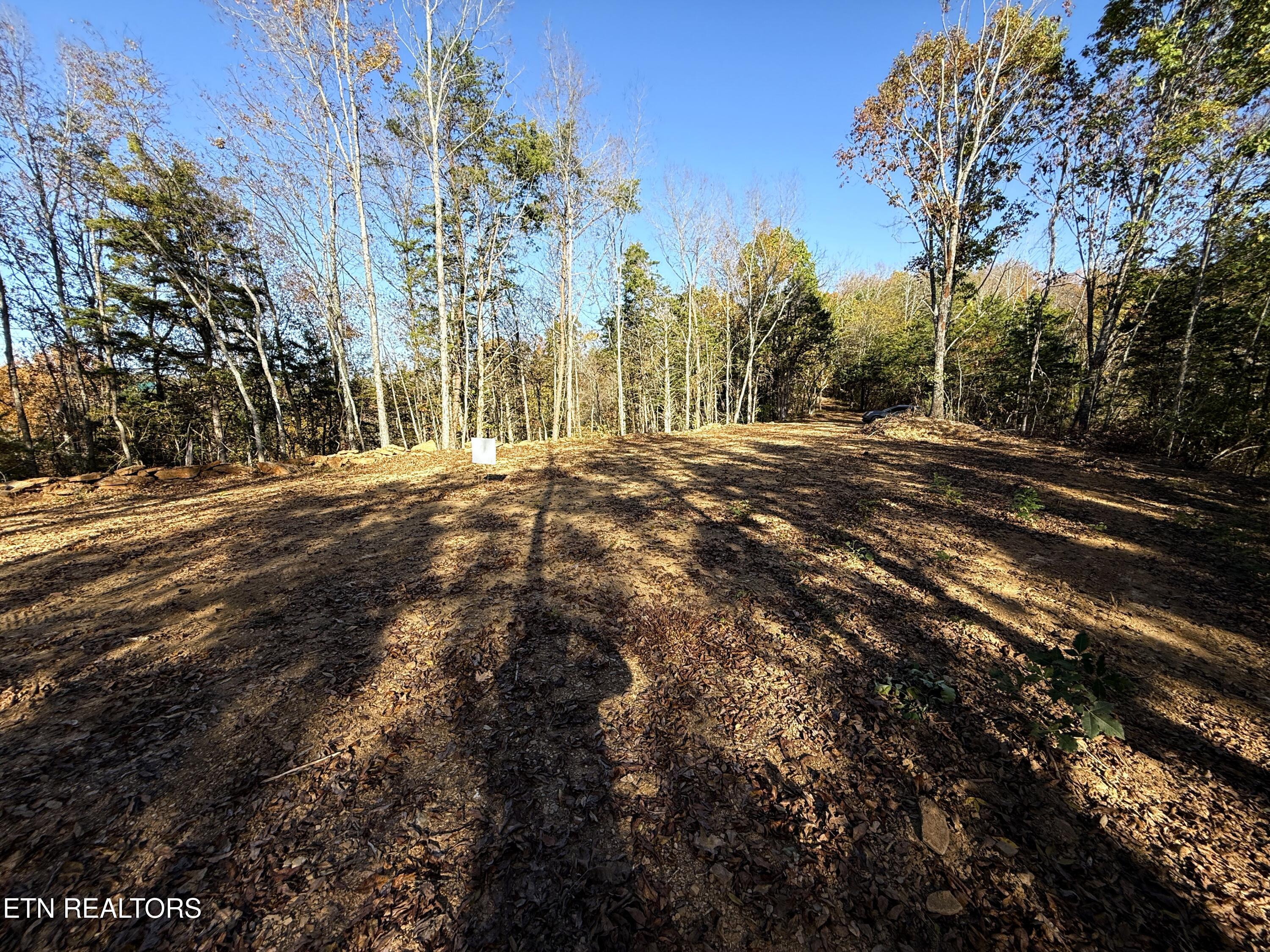 Tract 4 Topaz Way Parrottsville TN 37843