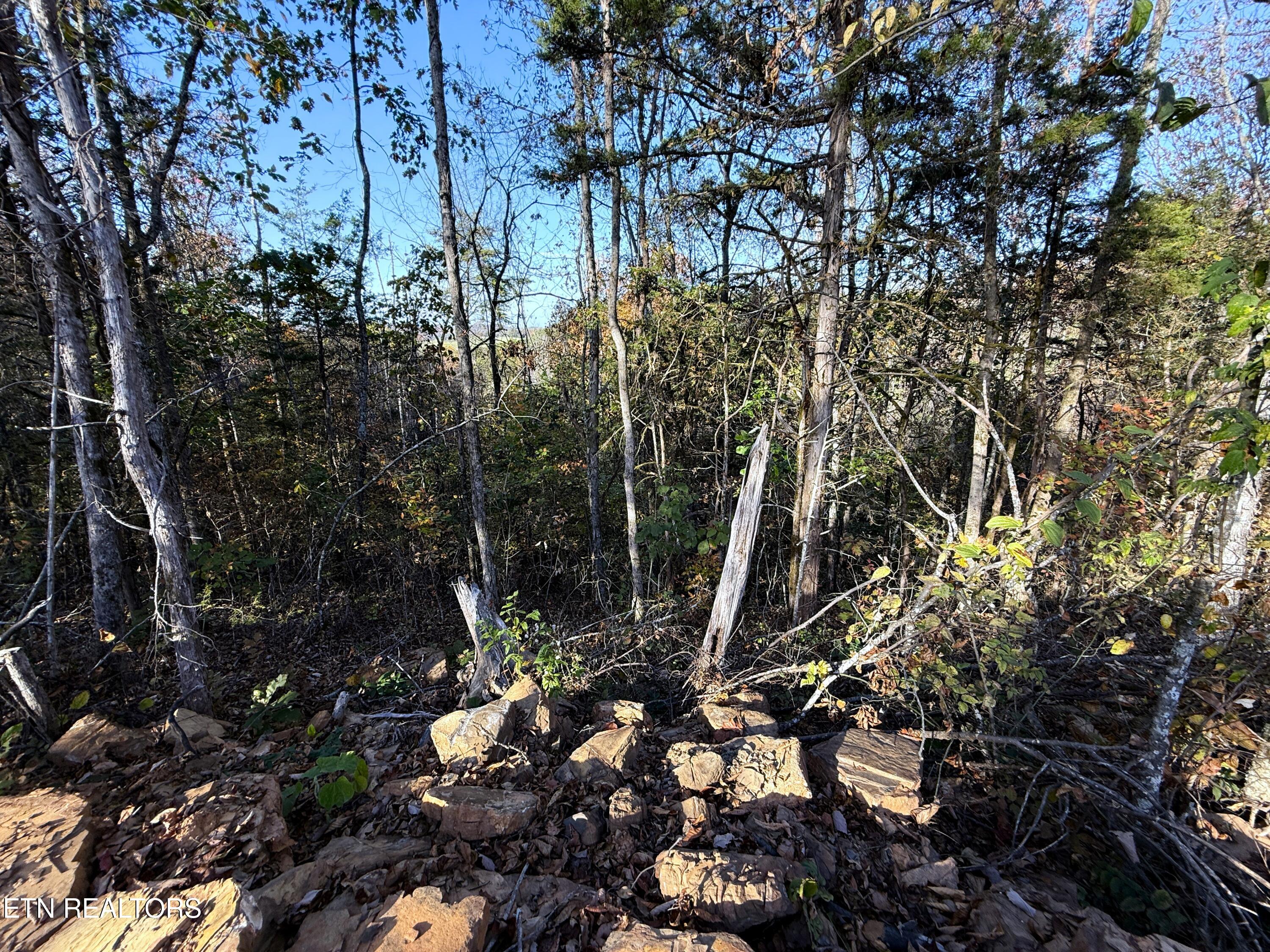 Tract 4 Topaz Way Parrottsville TN 37843