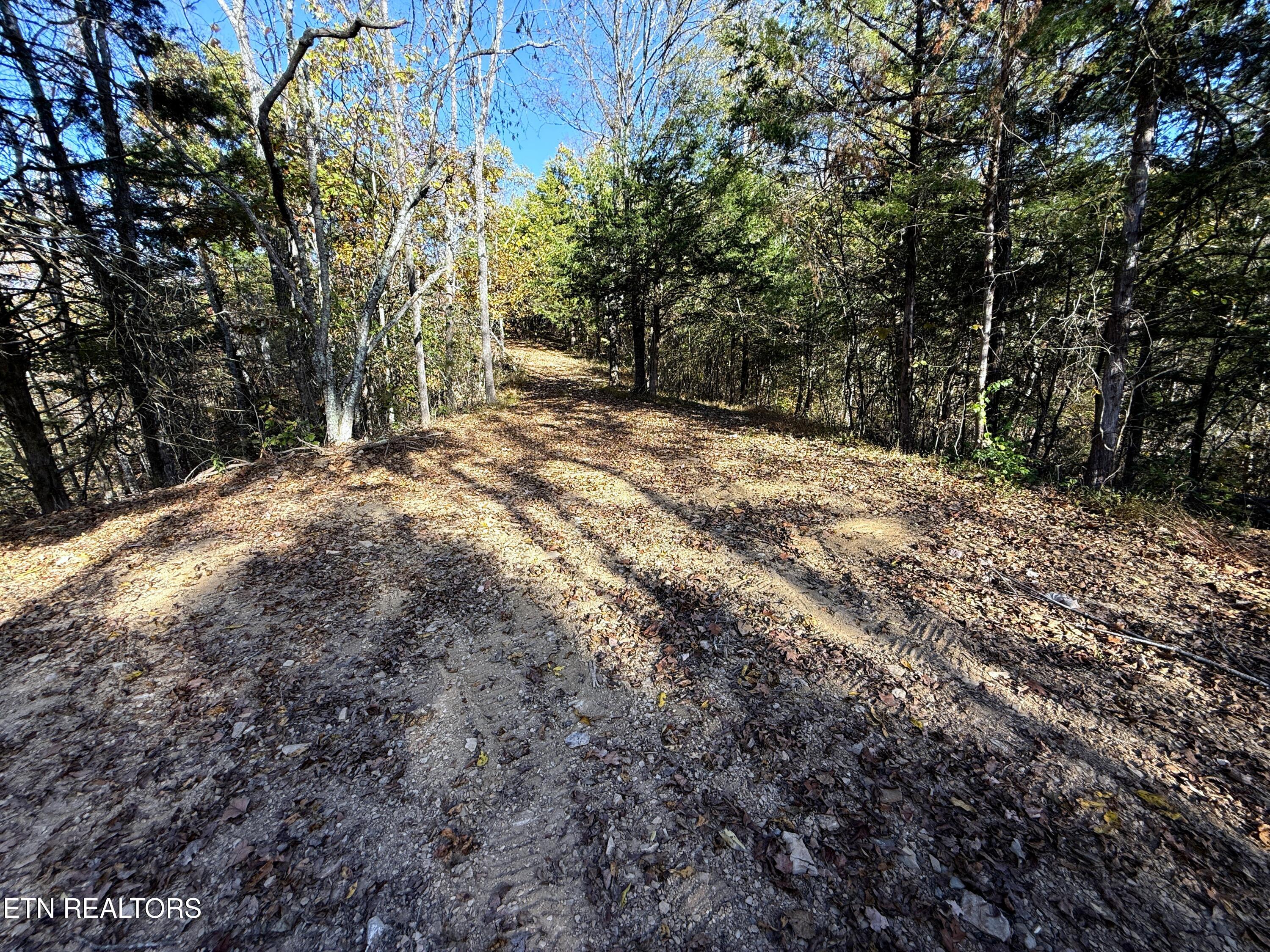 Tract 4 Topaz Way Parrottsville TN 37843