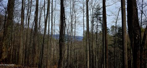 Emerald Springs Loop Sevierville TN 37862