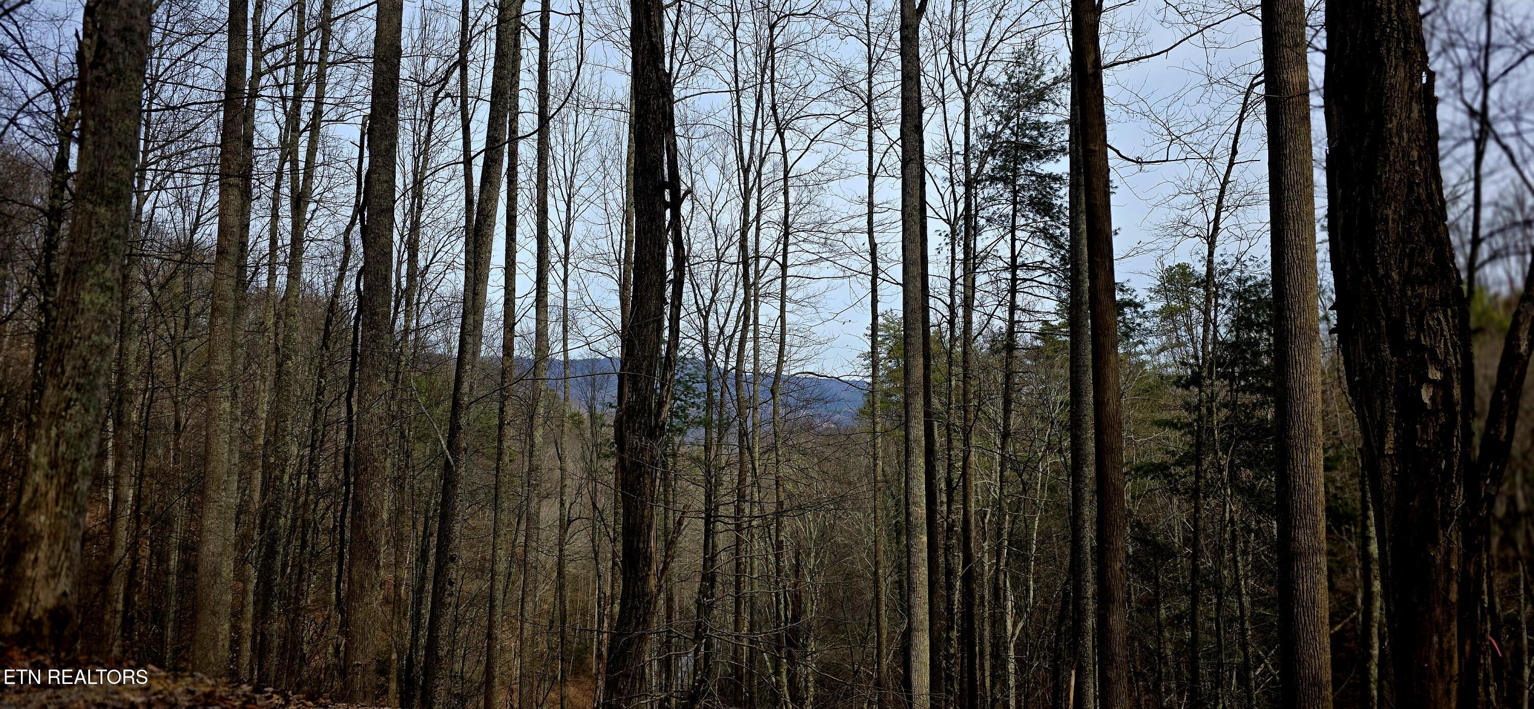 Emerald Springs Loop Sevierville TN 37862