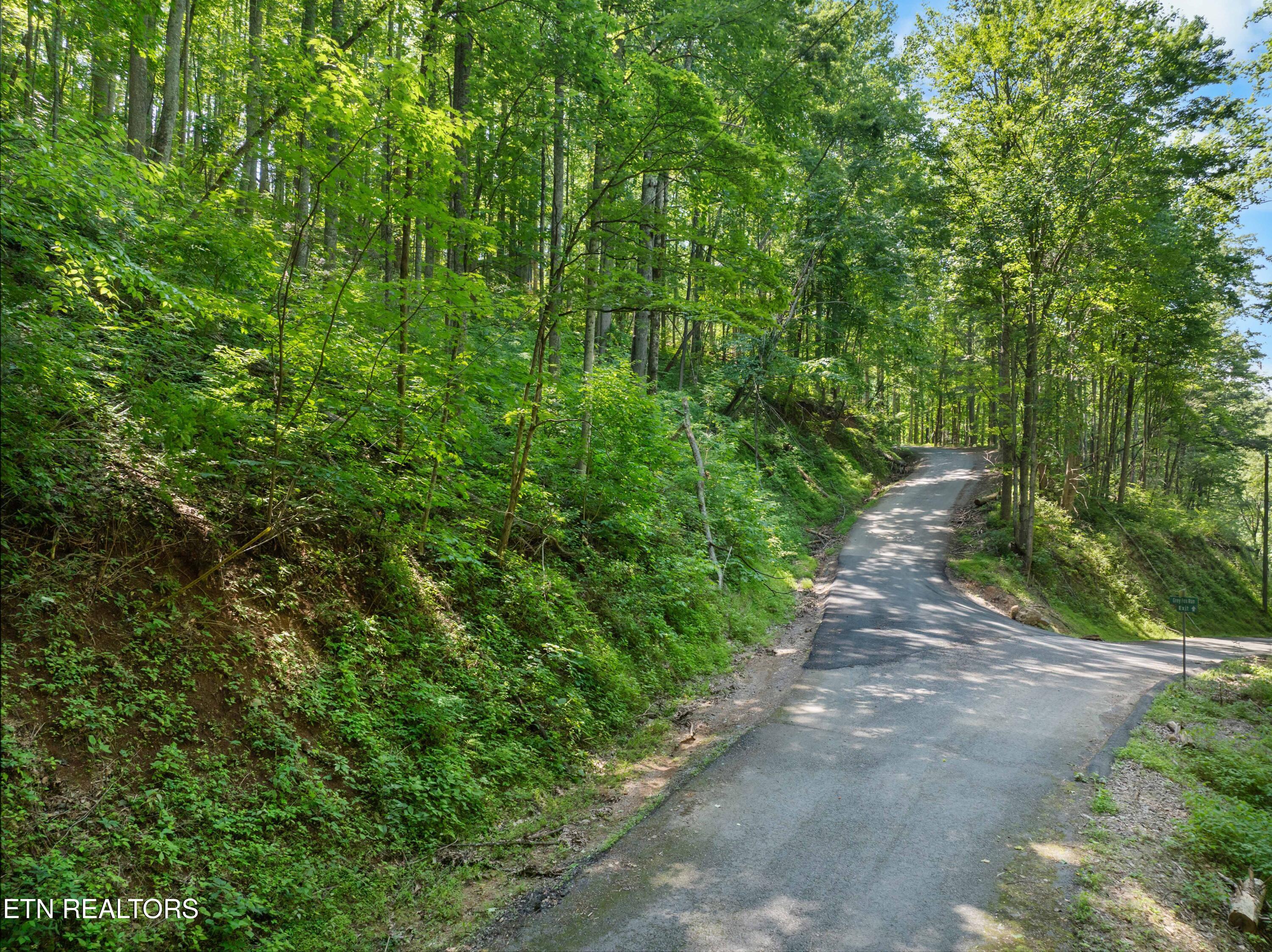 Emerald Springs Loop Sevierville TN 37862