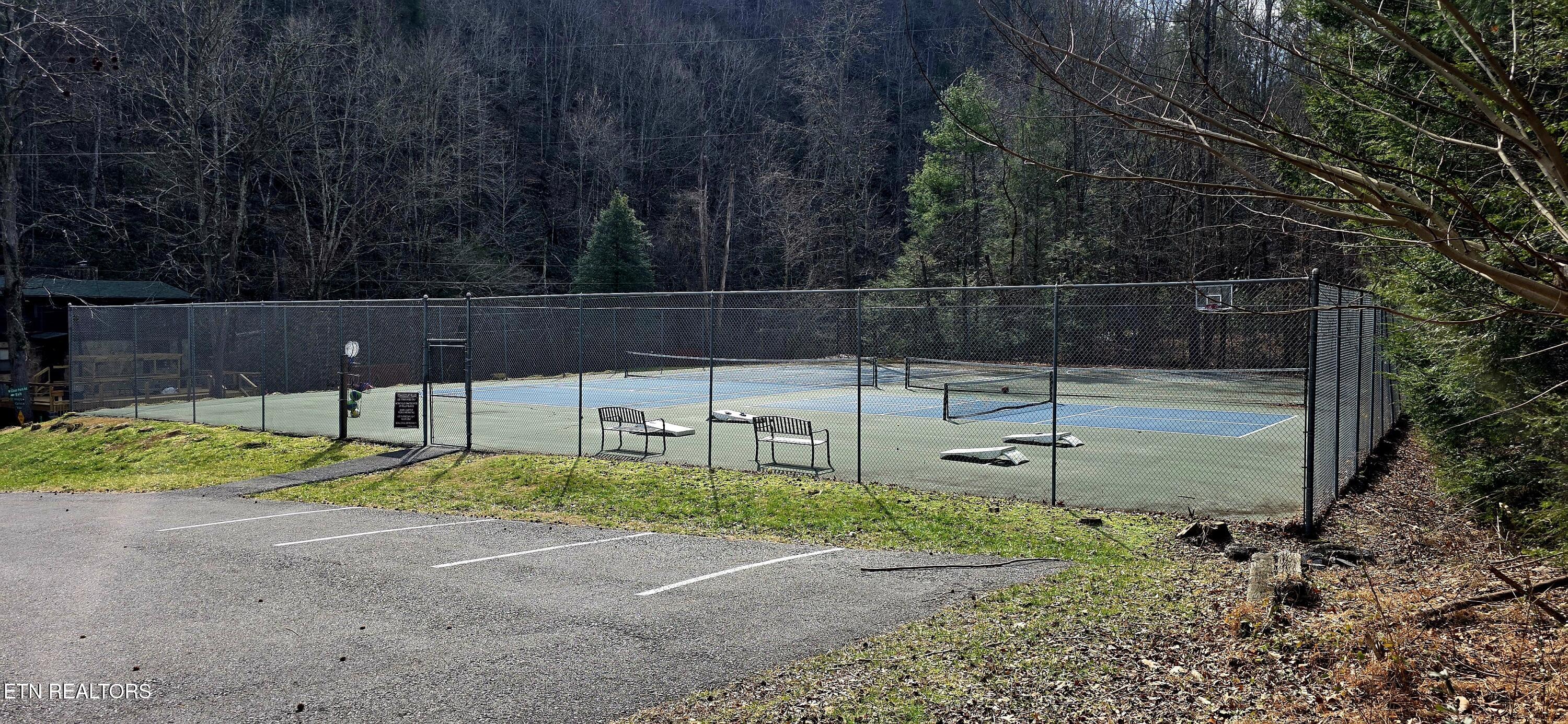 Emerald Springs Loop Sevierville TN 37862