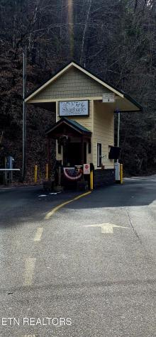 Emerald Springs Loop Sevierville TN 37862