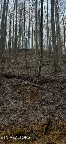 Emerald Springs Loop Sevierville TN 37862