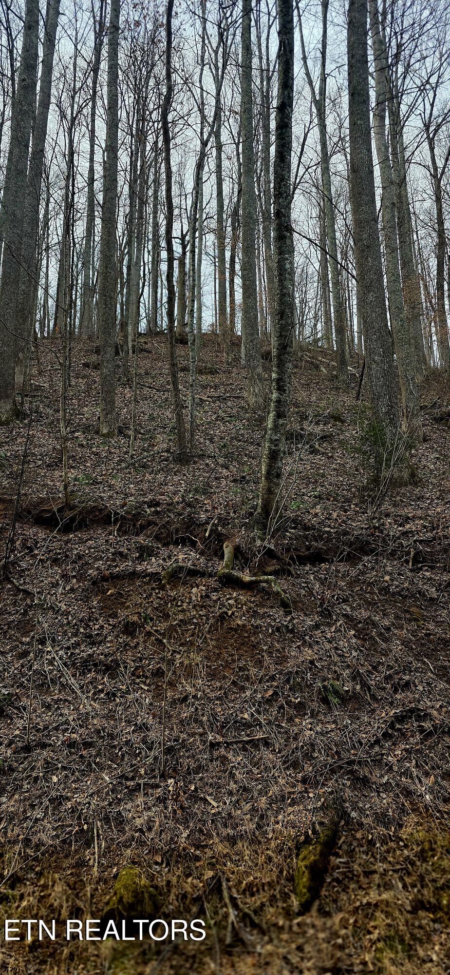 Emerald Springs Loop Sevierville TN 37862