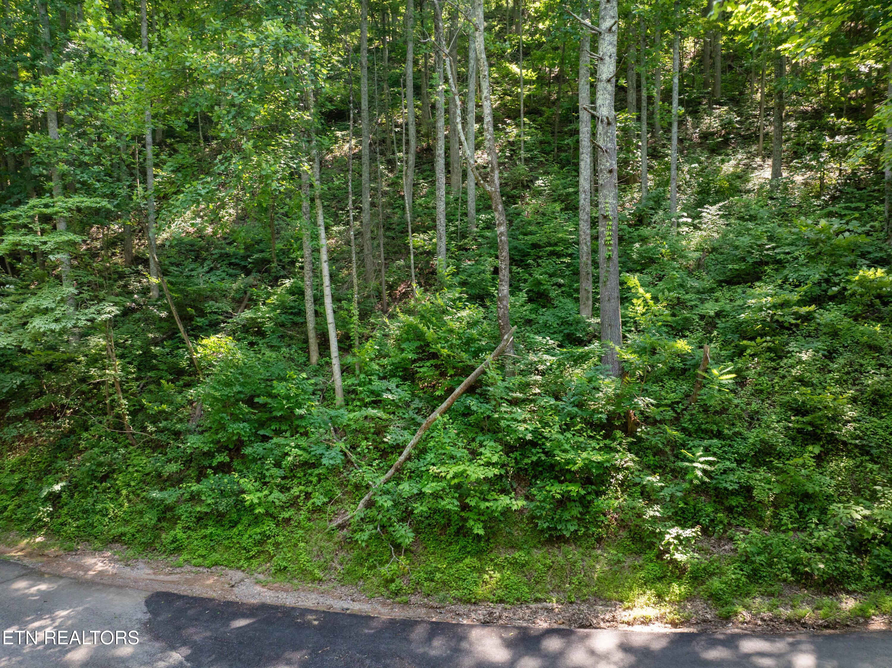 Emerald Springs Loop Sevierville TN 37862