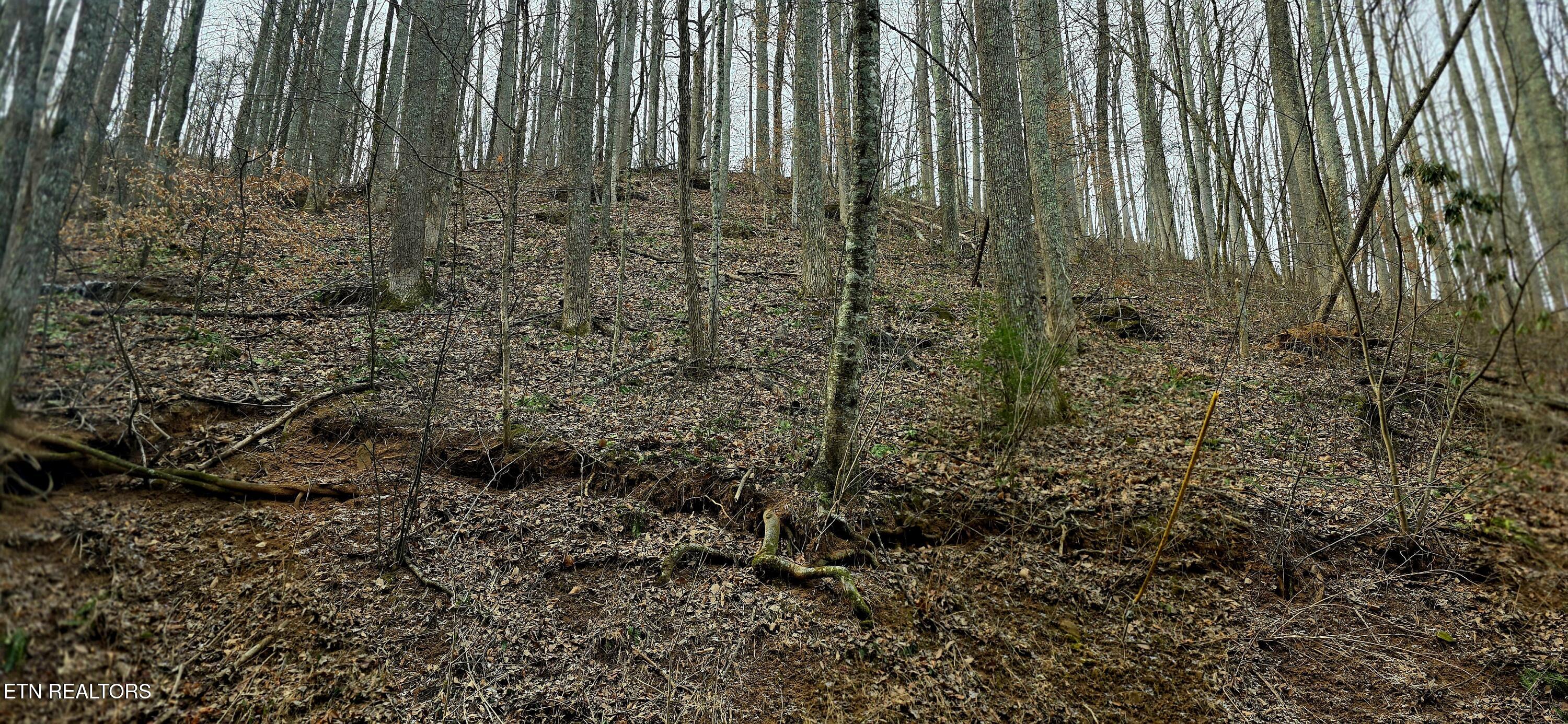 Emerald Springs Loop Sevierville TN 37862