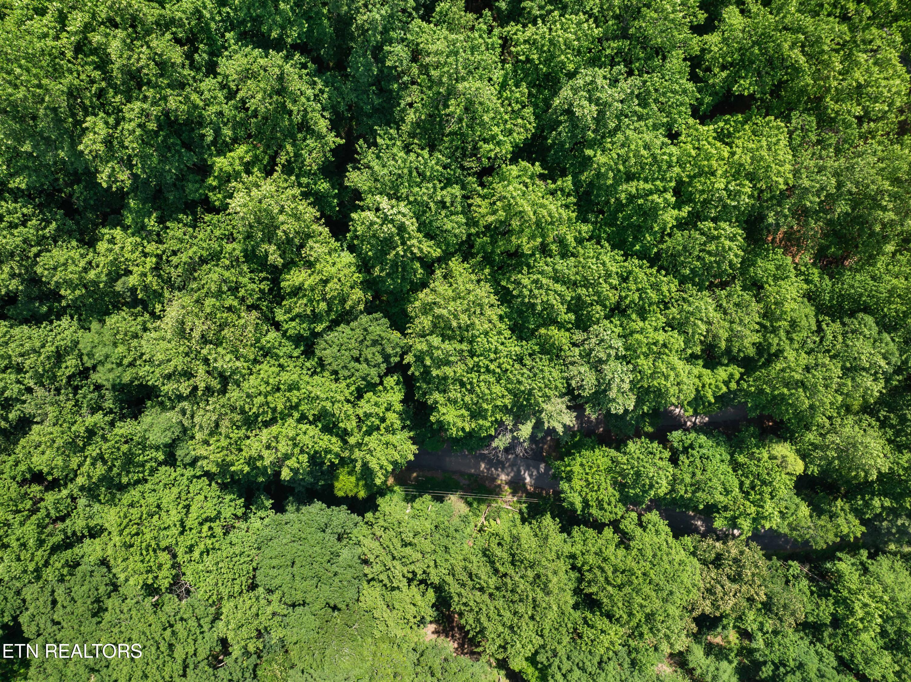 Emerald Springs Loop Sevierville TN 37862