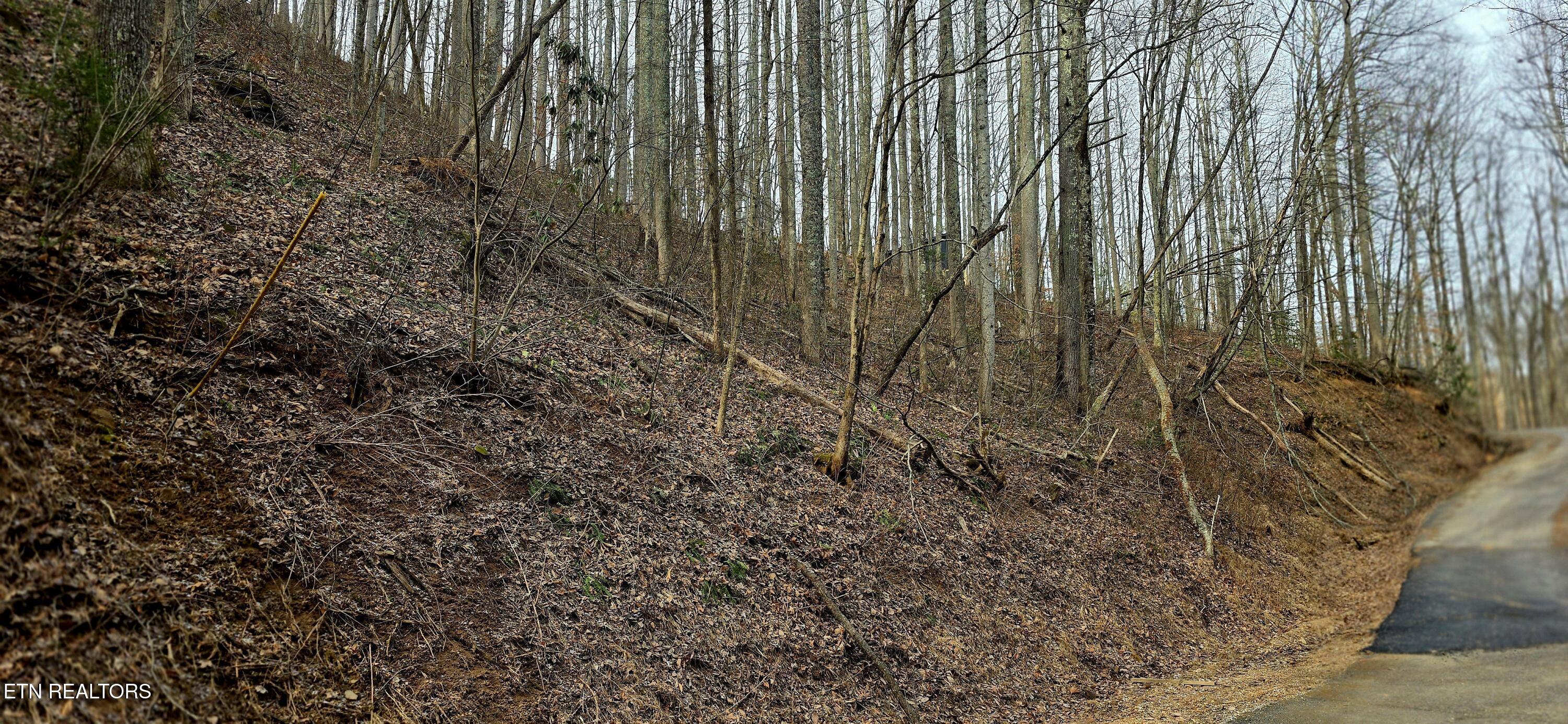 Emerald Springs Loop Sevierville TN 37862