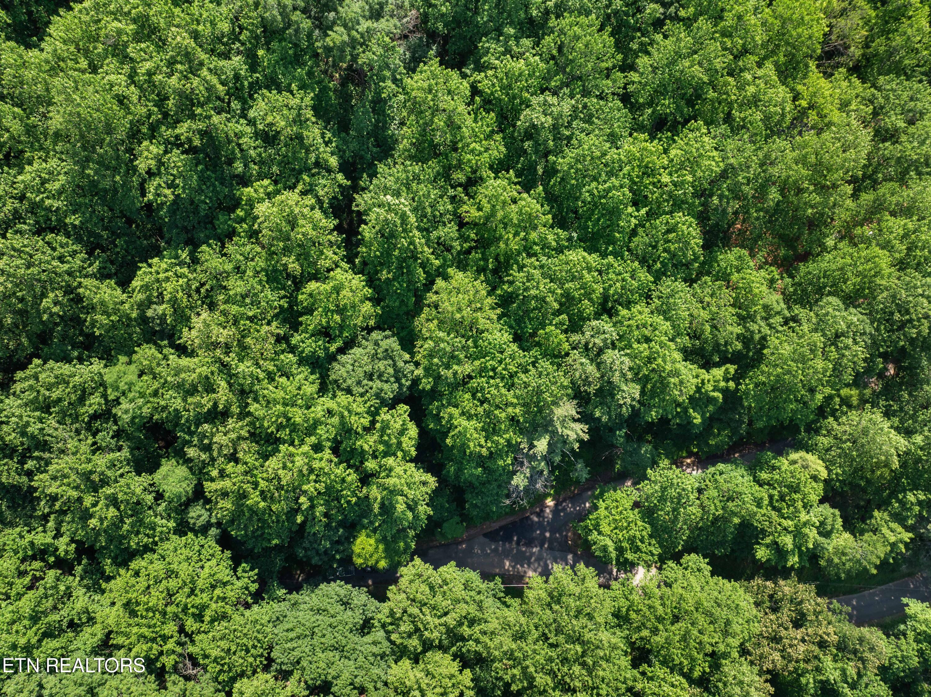Emerald Springs Loop Sevierville TN 37862