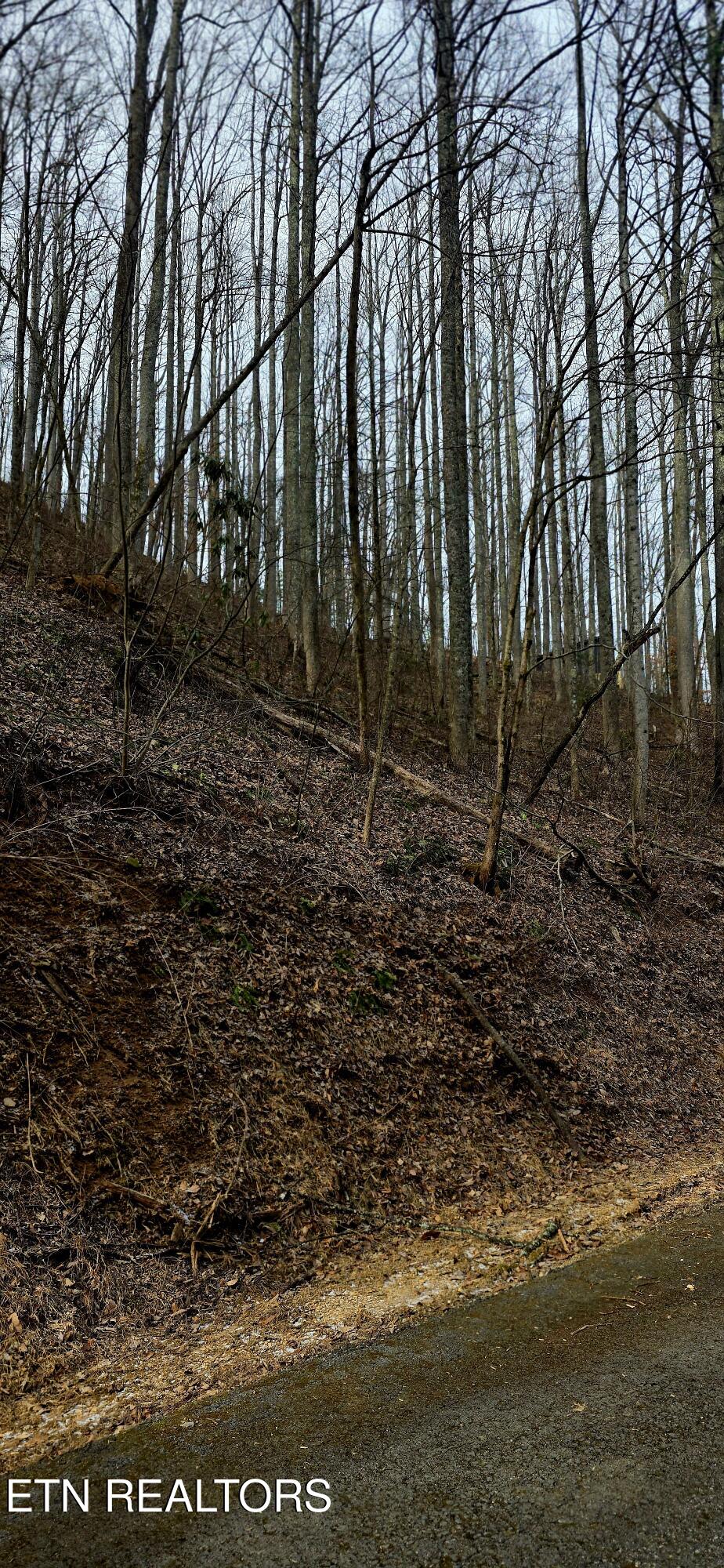 Emerald Springs Loop Sevierville TN 37862