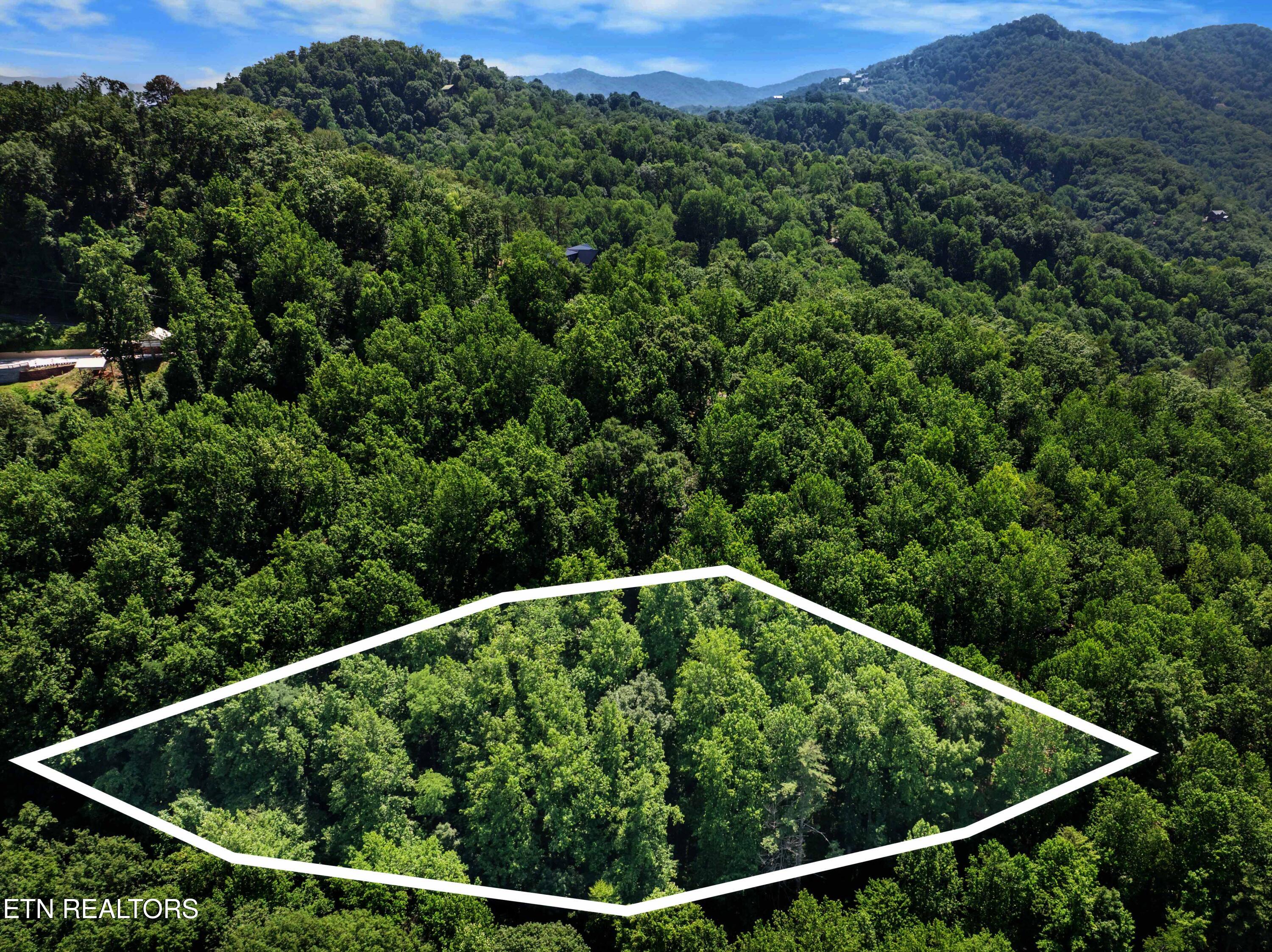 Emerald Springs Loop Sevierville TN 37862