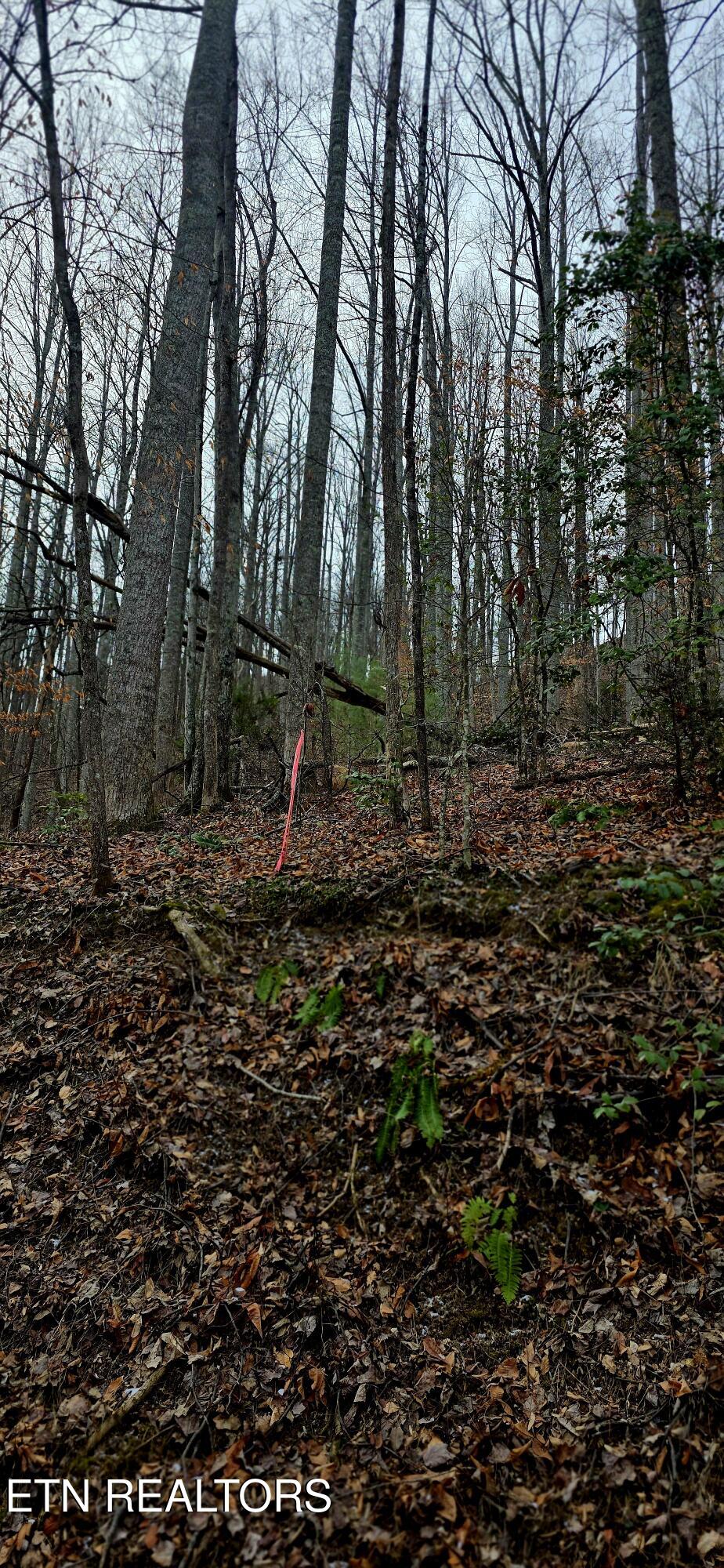 Emerald Springs Loop Sevierville TN 37862