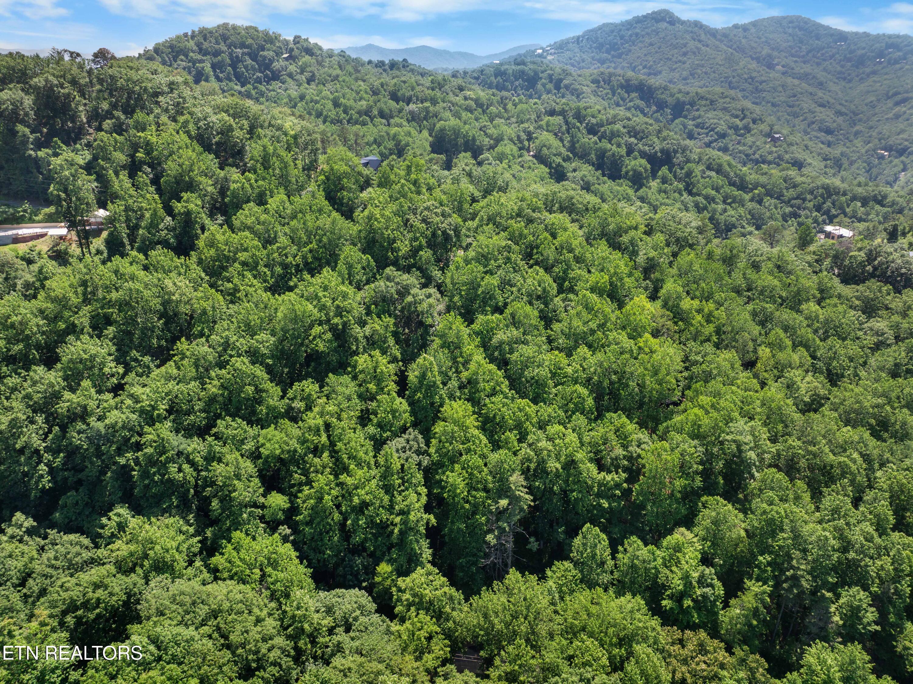 Emerald Springs Loop Sevierville TN 37862