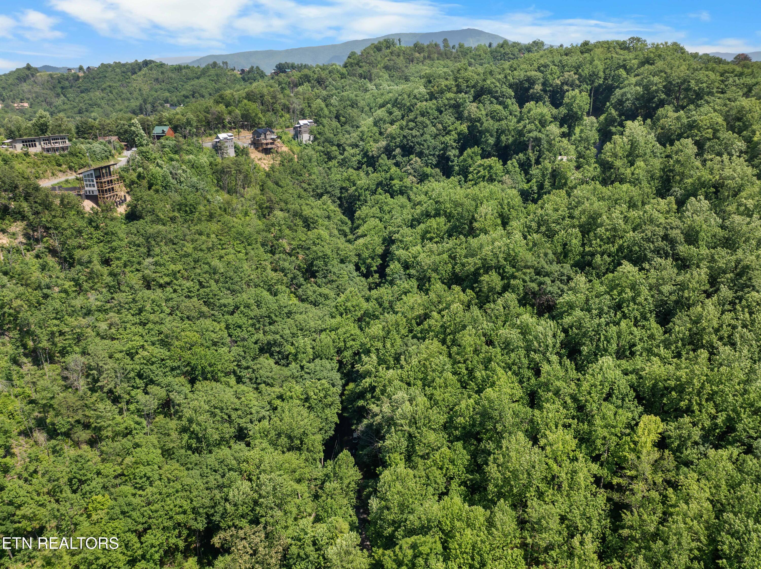 Emerald Springs Loop Sevierville TN 37862