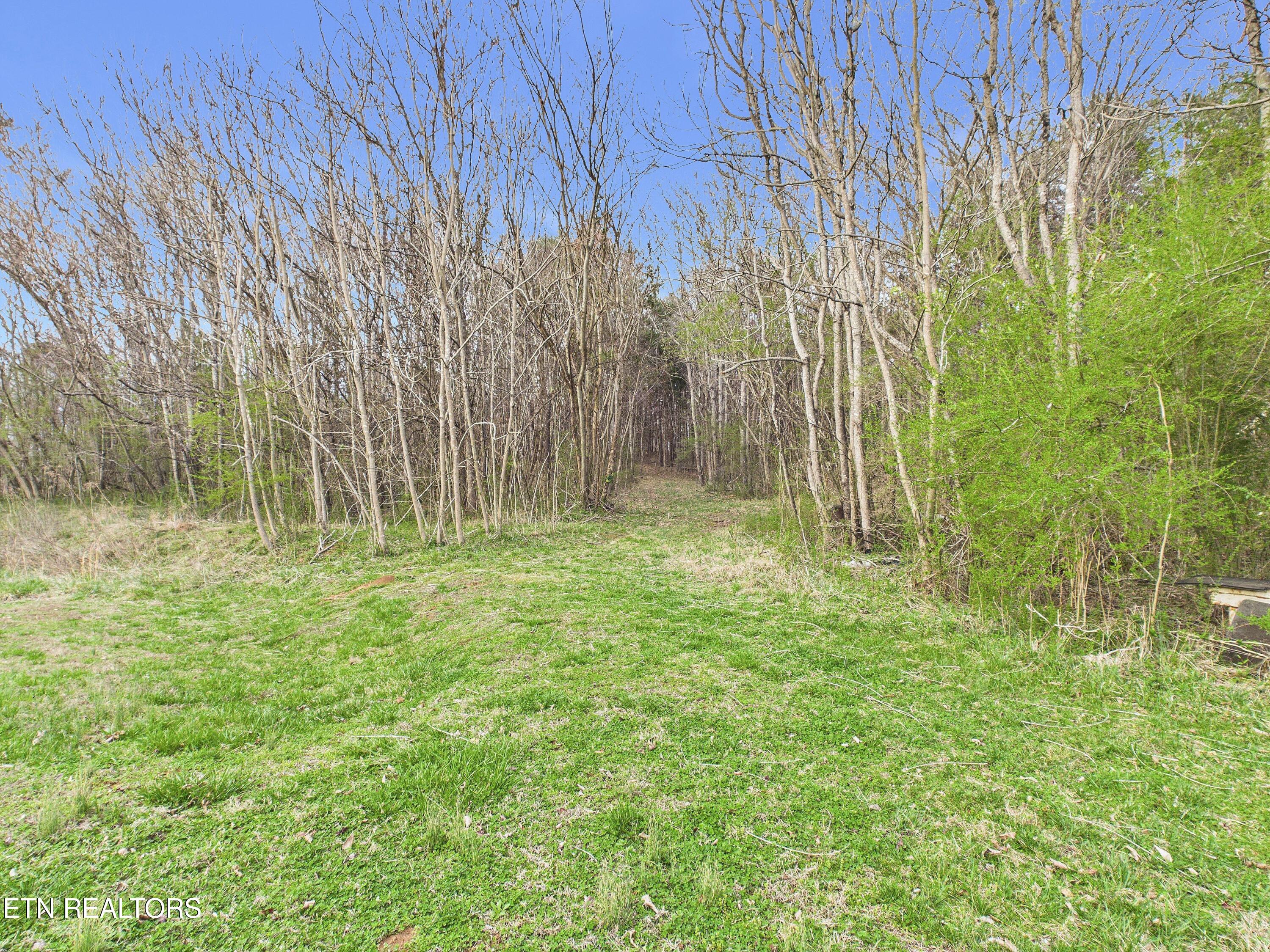 325 Countryside Lane Madisonville TN 37354