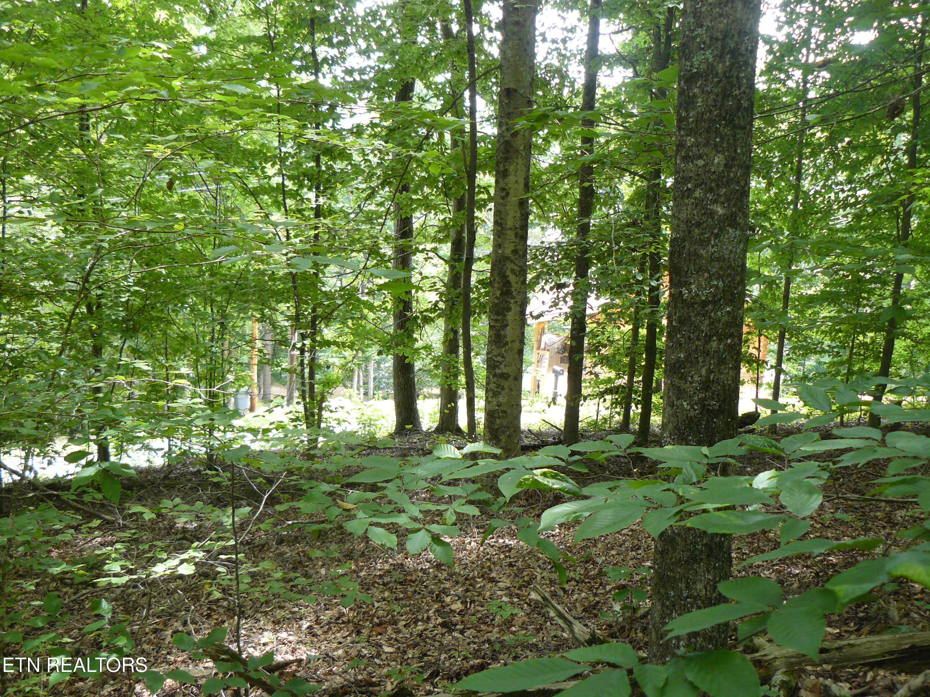 Tanglewood Road Sharps Chapel TN 37866