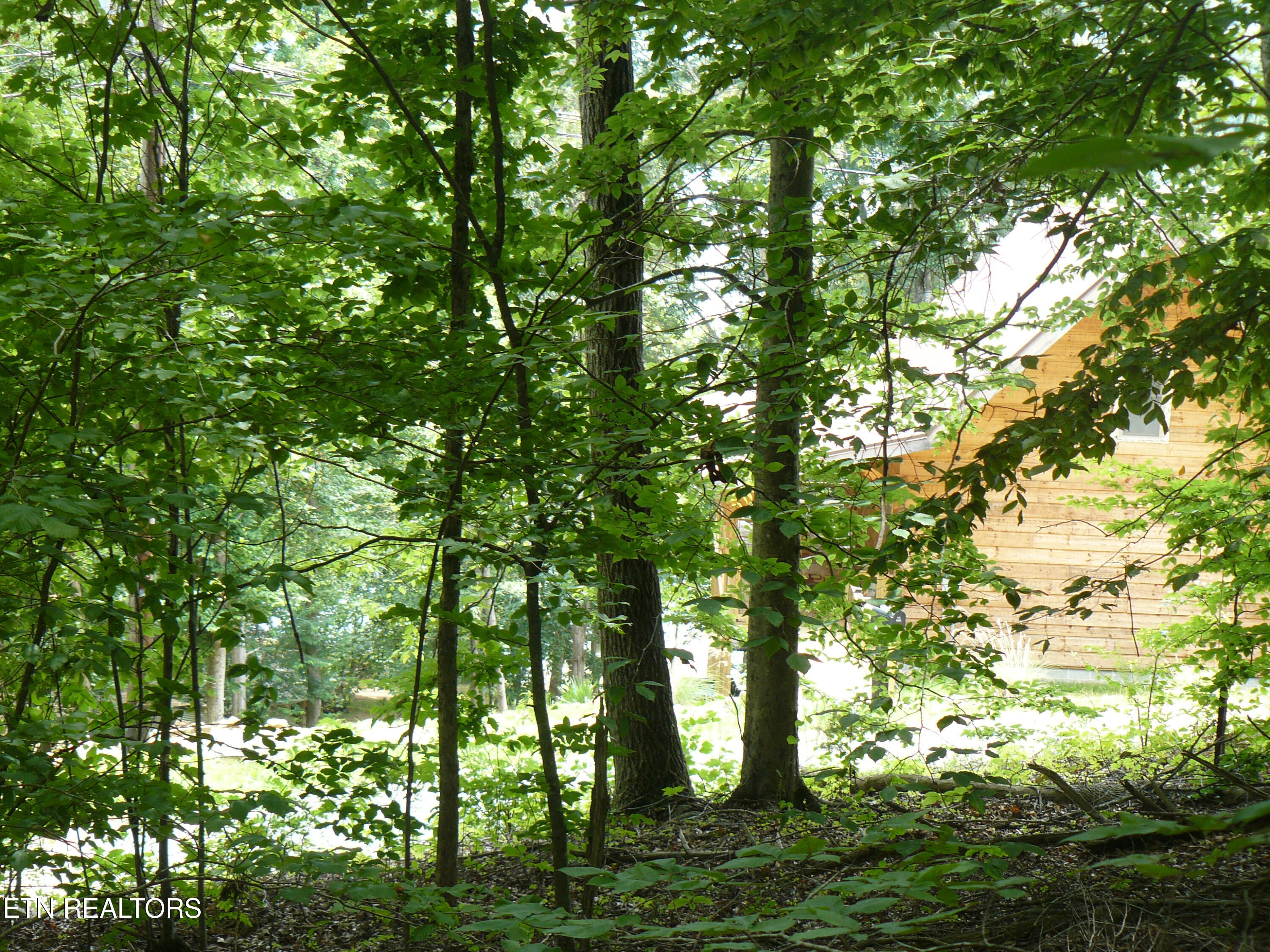 Tanglewood Road Sharps Chapel TN 37866