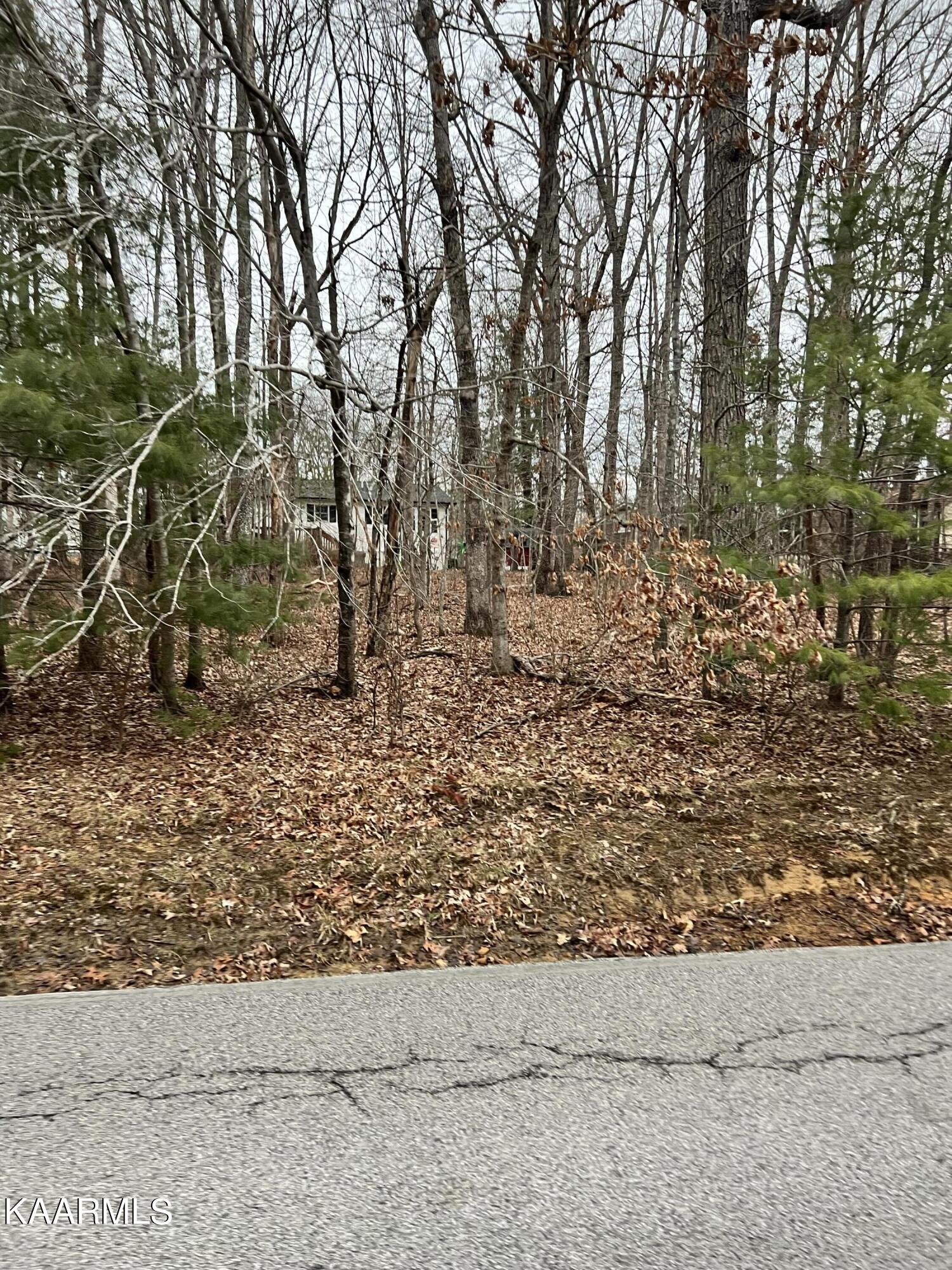 233 St. George Drive Crossville TN 38558