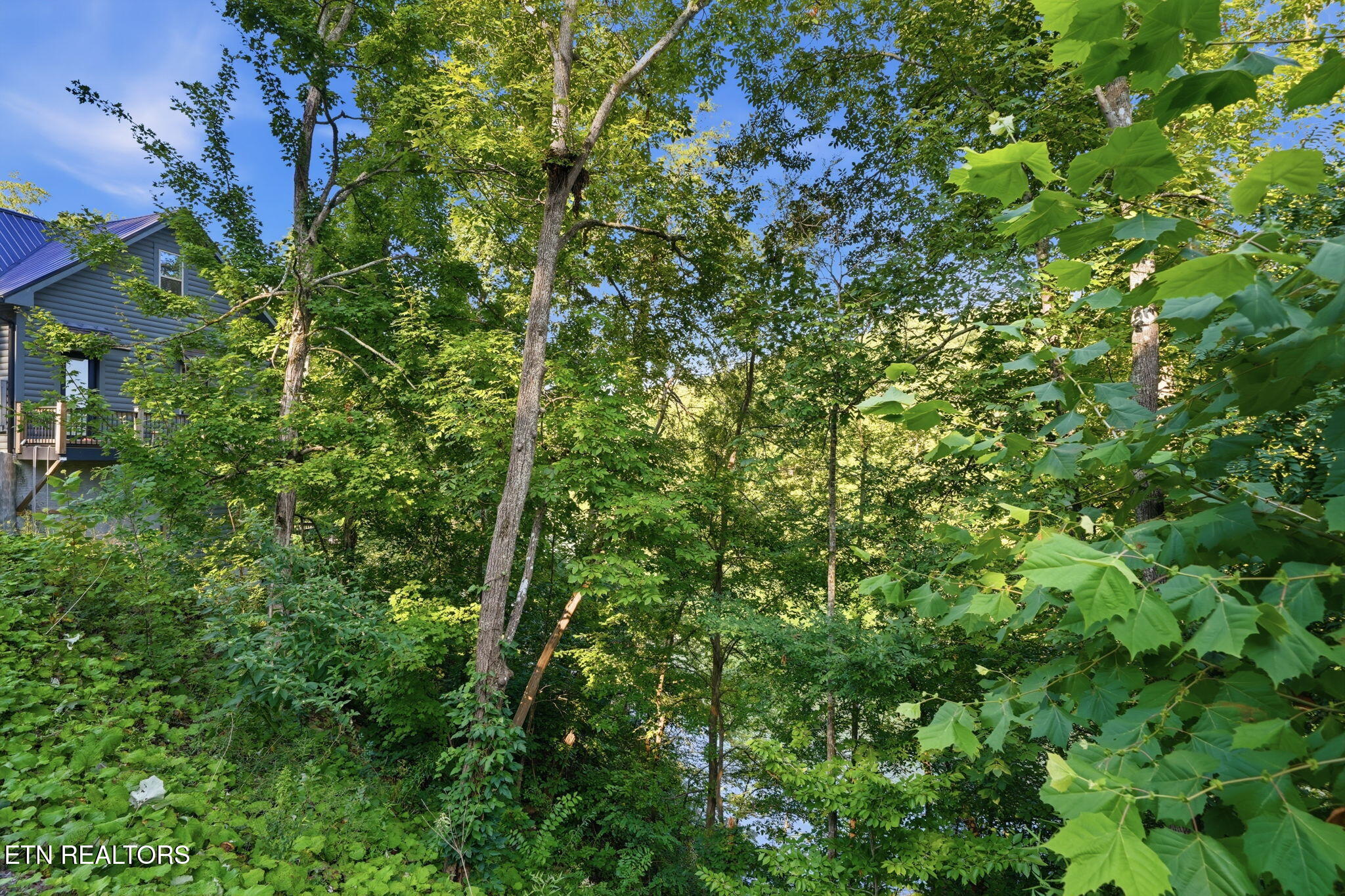 244 Jolene Way Sevierville TN 37876