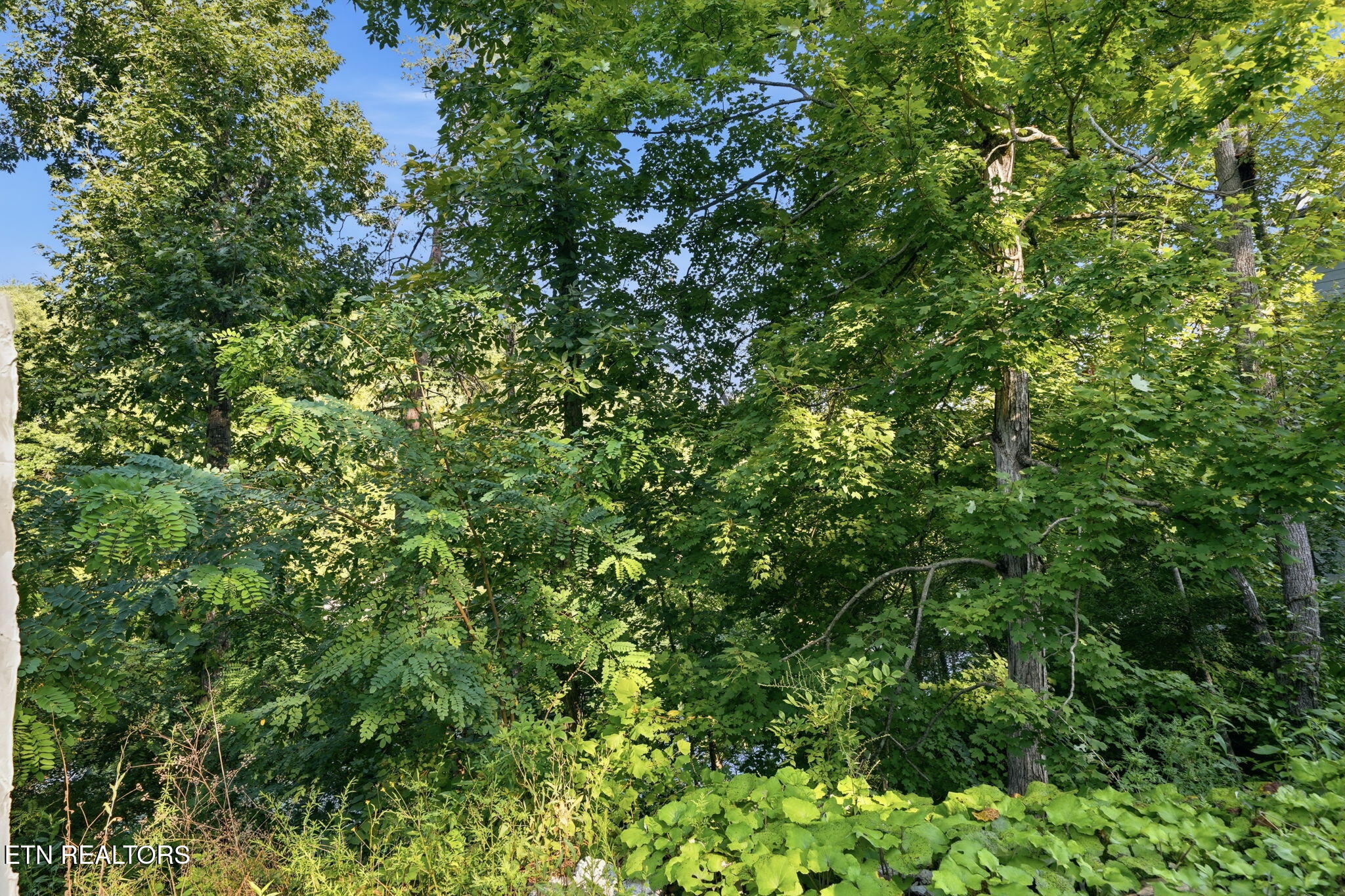 244 Jolene Way Sevierville TN 37876