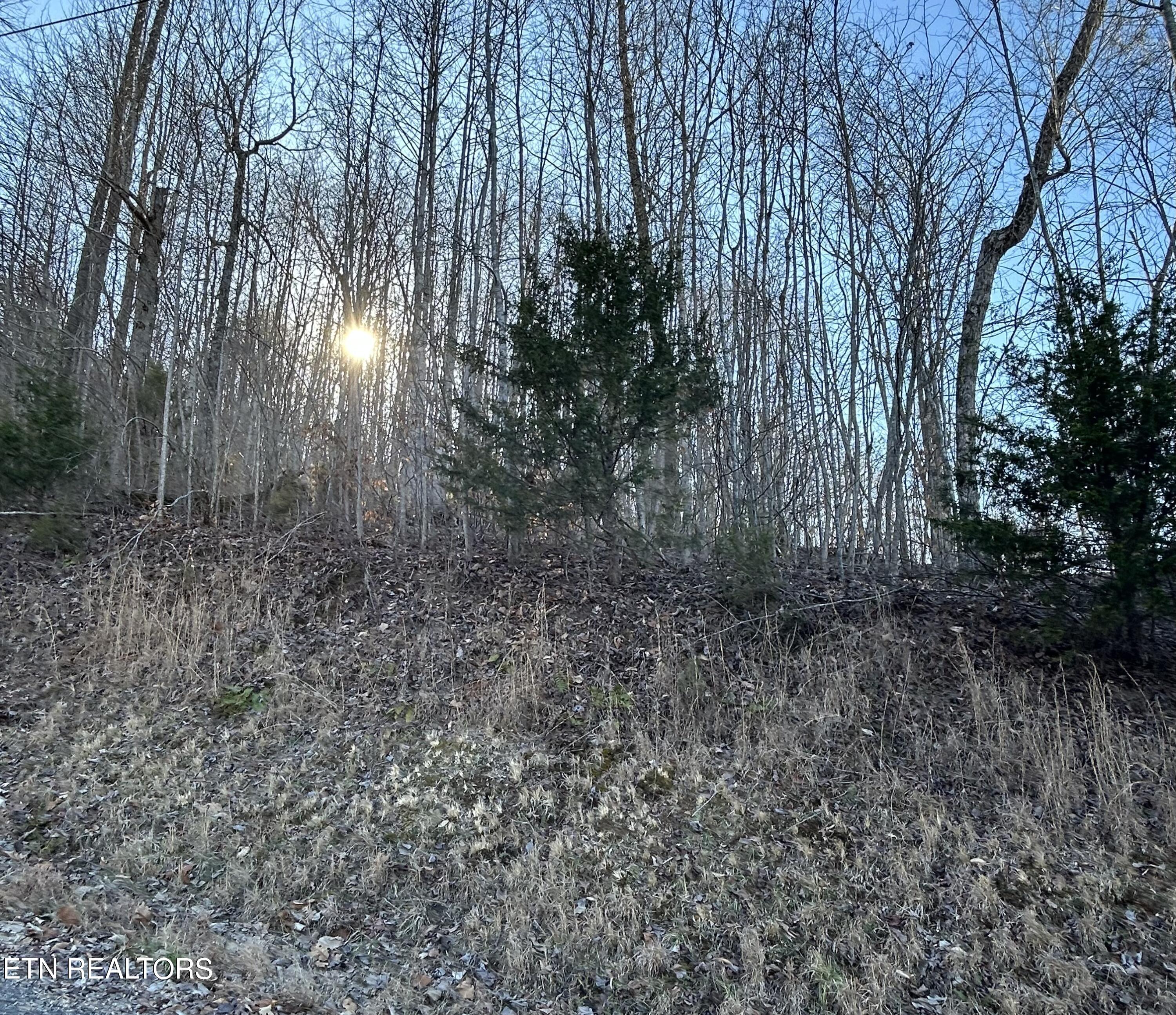 Lot 183 Eagle Cove Parkway Maynardville TN 37807