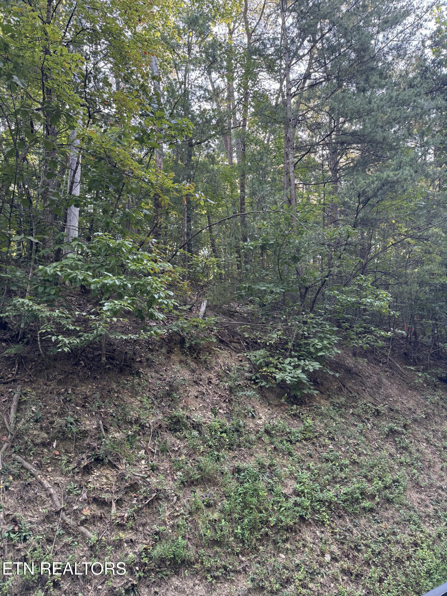 Progress Hill Pigeon Forge TN 37863