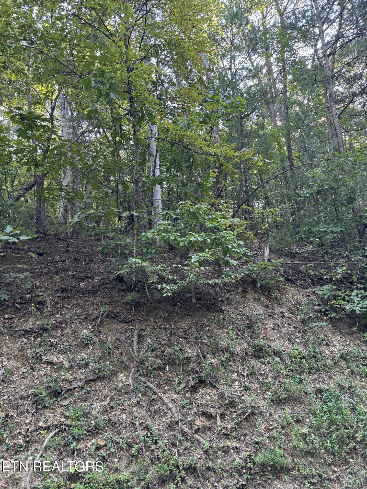 Progress Hill Pigeon Forge TN 37863