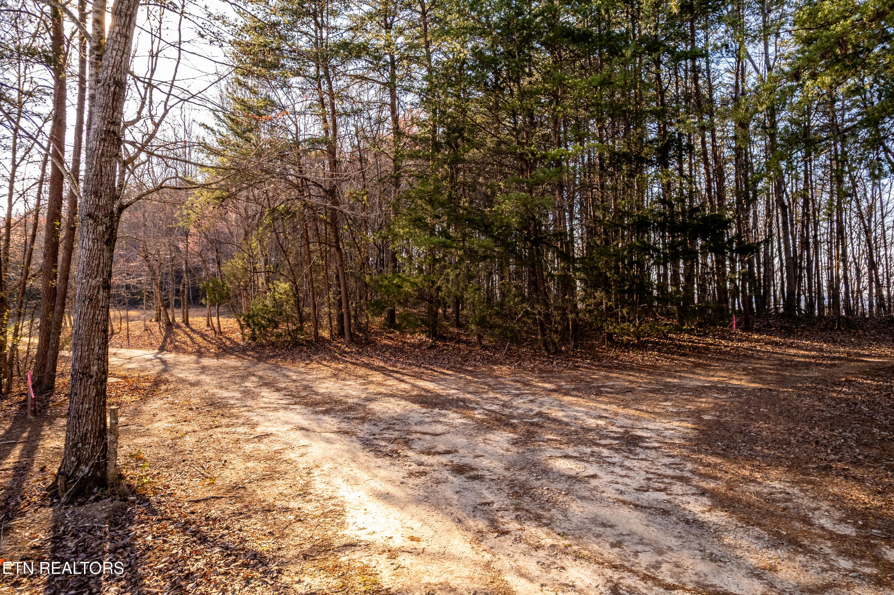 132 Badger Road Madisonville TN 37354