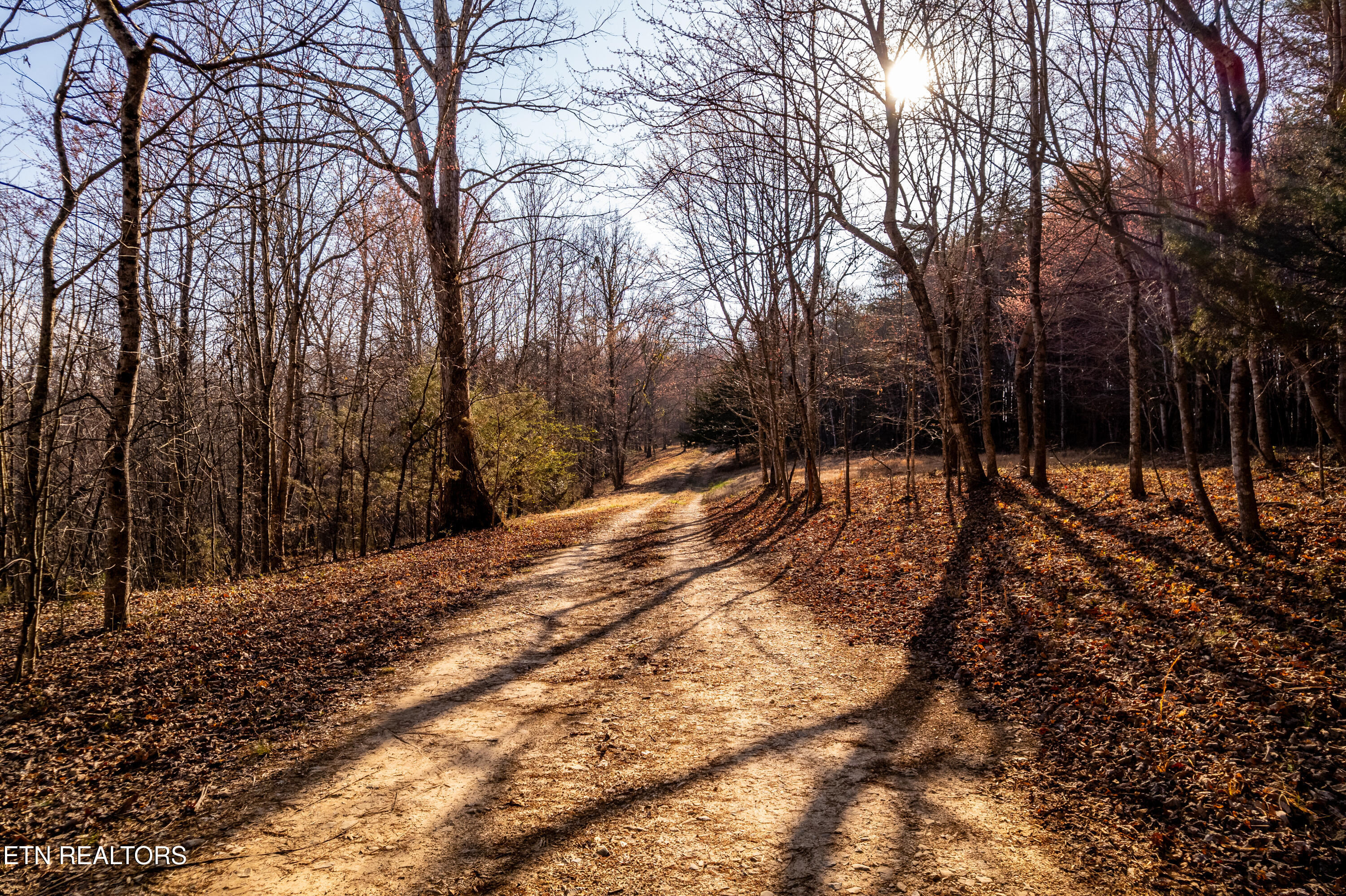 132 Badger Road Madisonville TN 37354
