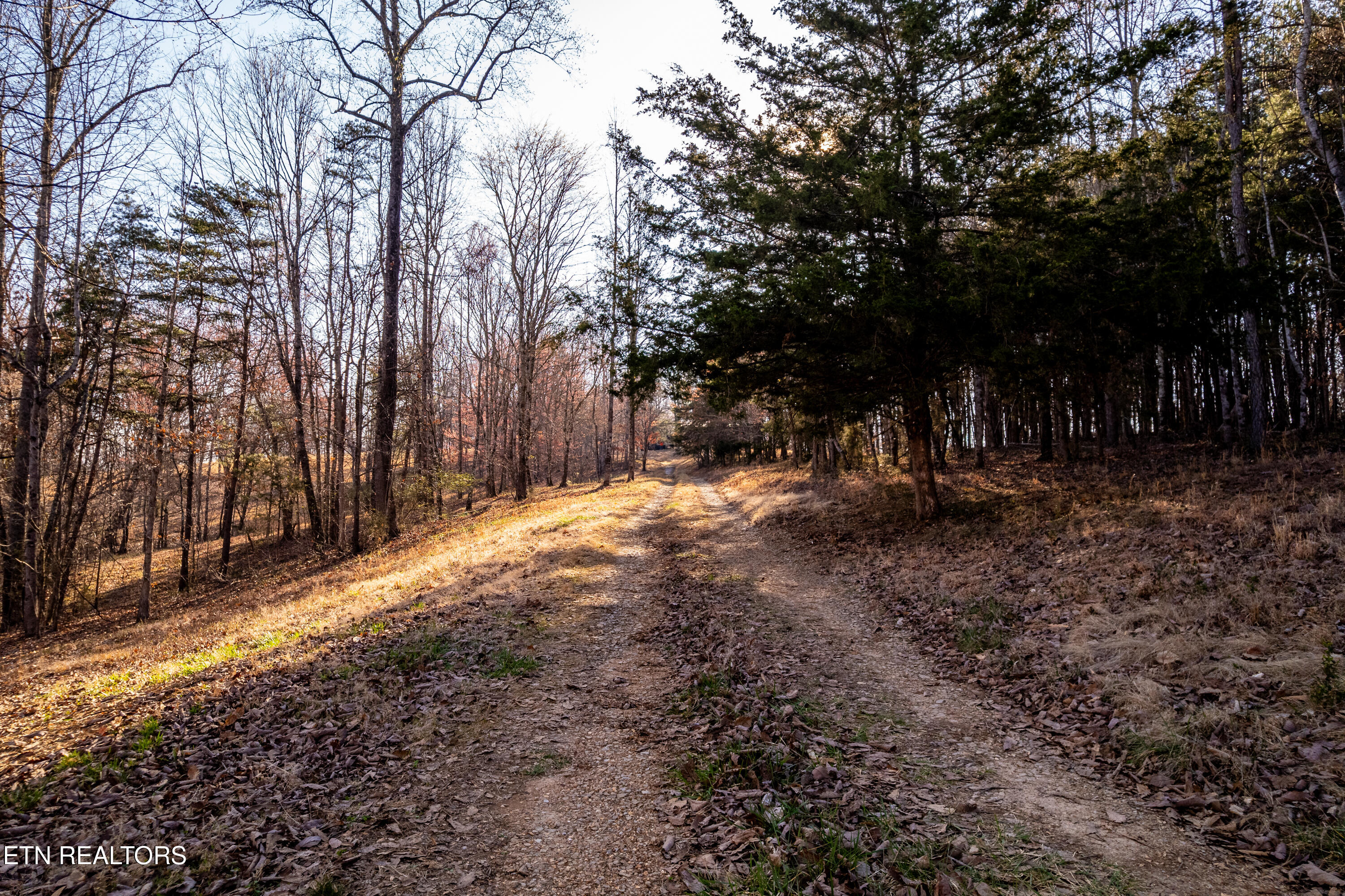 132 Badger Road Madisonville TN 37354