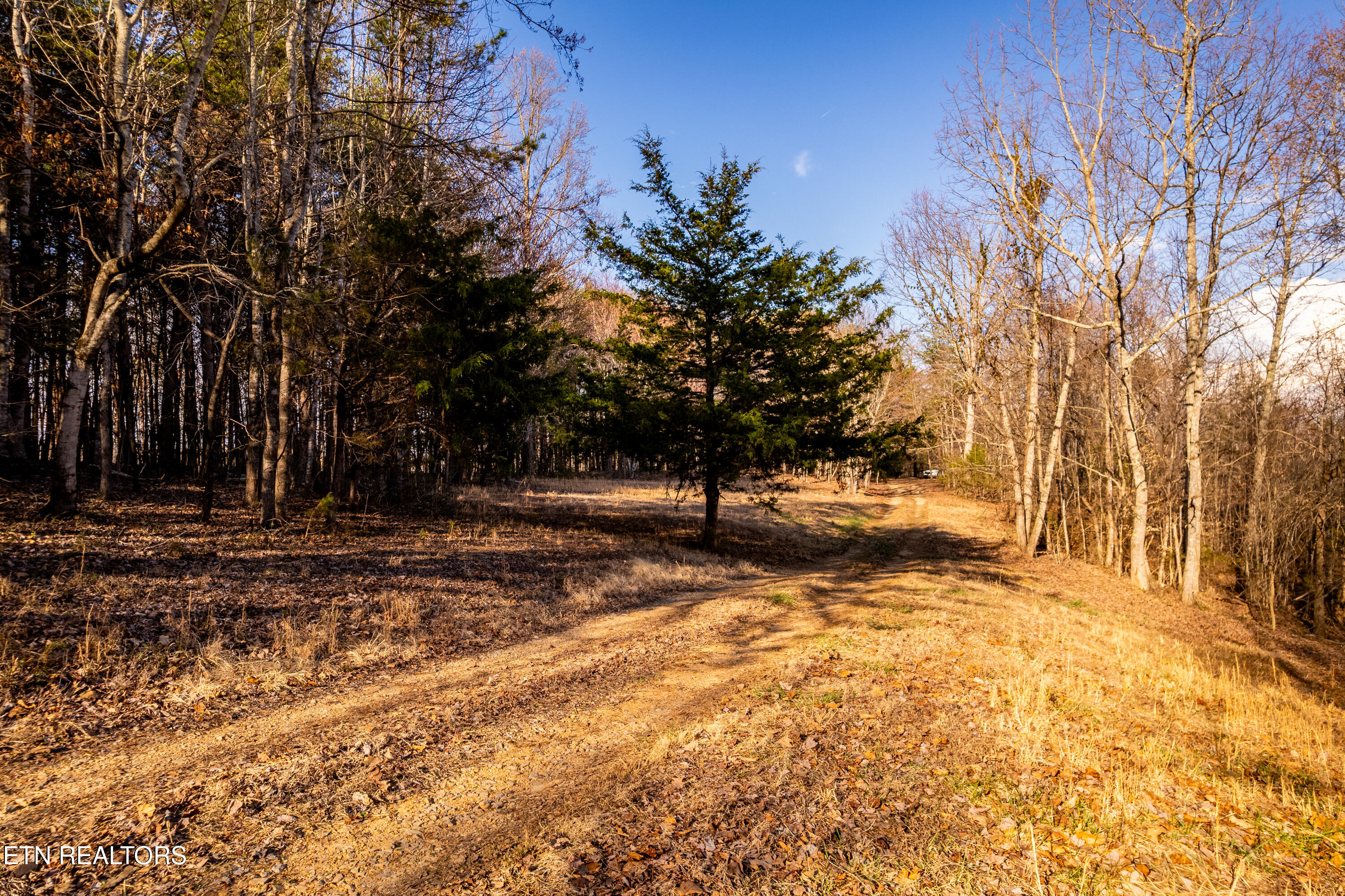 132 Badger Road Madisonville TN 37354