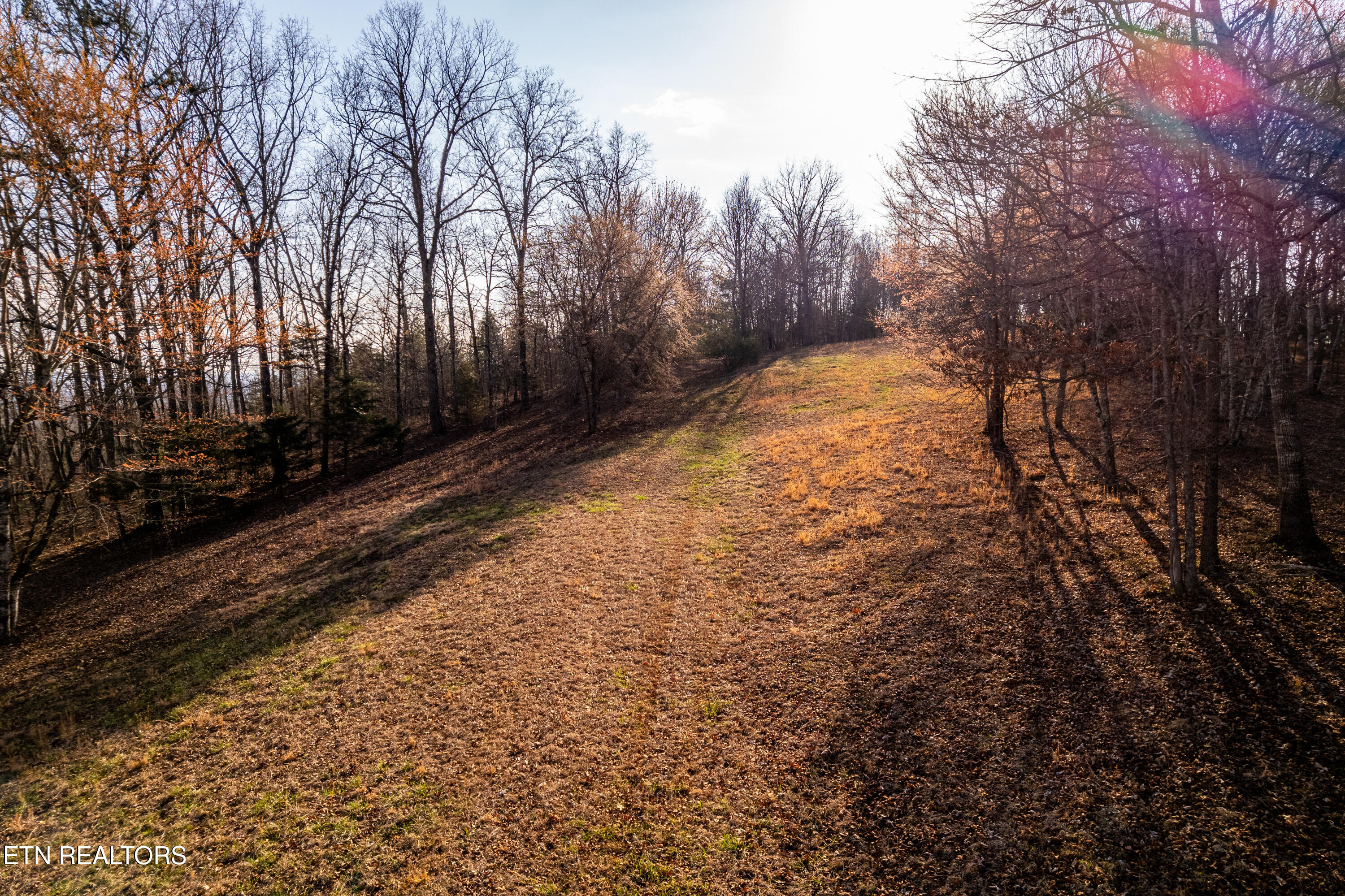 132 Badger Road Madisonville TN 37354