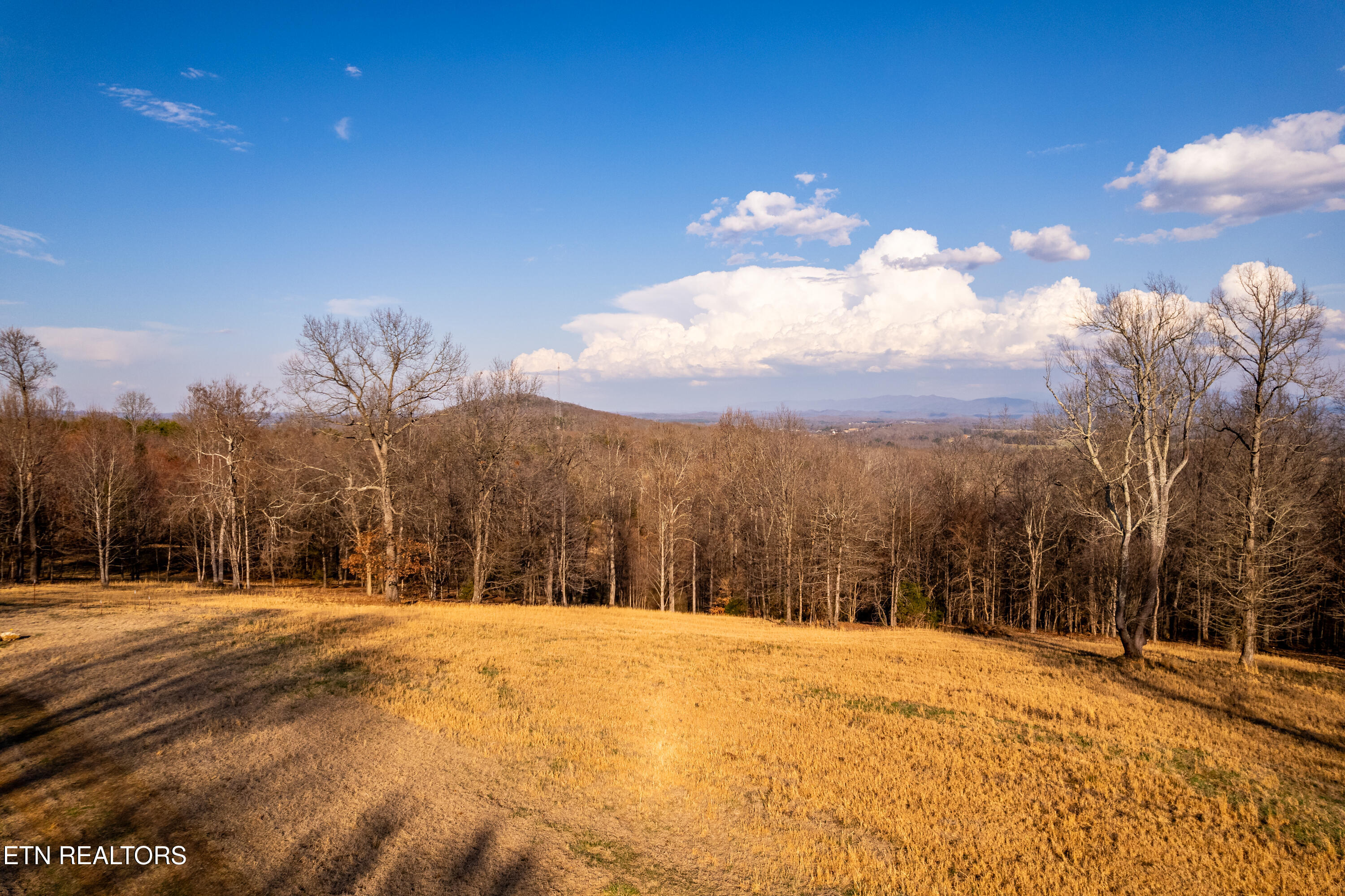 132 Badger Road Madisonville TN 37354