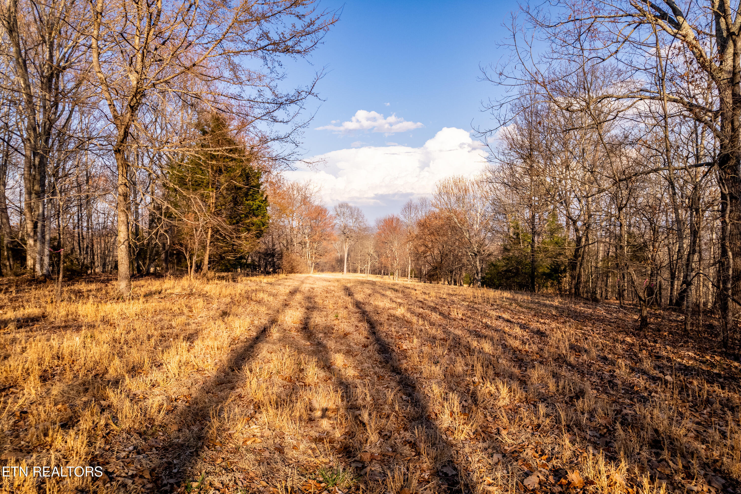 132 Badger Road Madisonville TN 37354