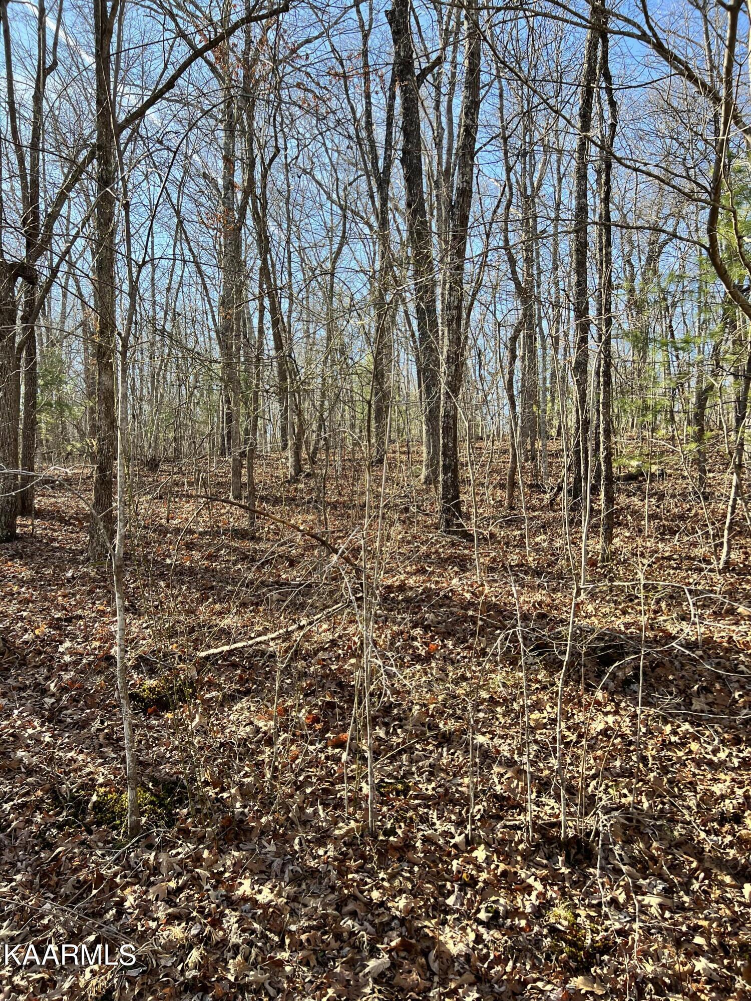 114 Hunterwood Lane Crossville TN 38558