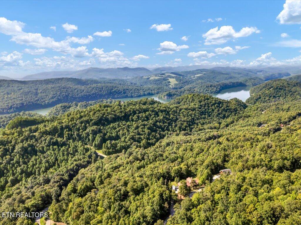 Lot 508 Hidden Springs Road New Tazewell TN 37825