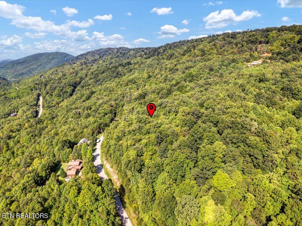 Lot 508 Hidden Springs Road New Tazewell TN 37825