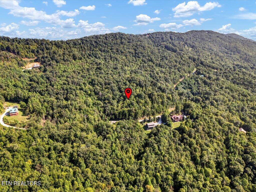 Lot 508 Hidden Springs Road New Tazewell TN 37825